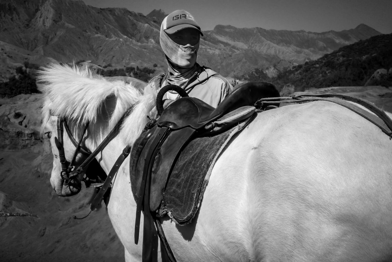 Olympus VG180,D770 sample photo. Man, horse, job photography