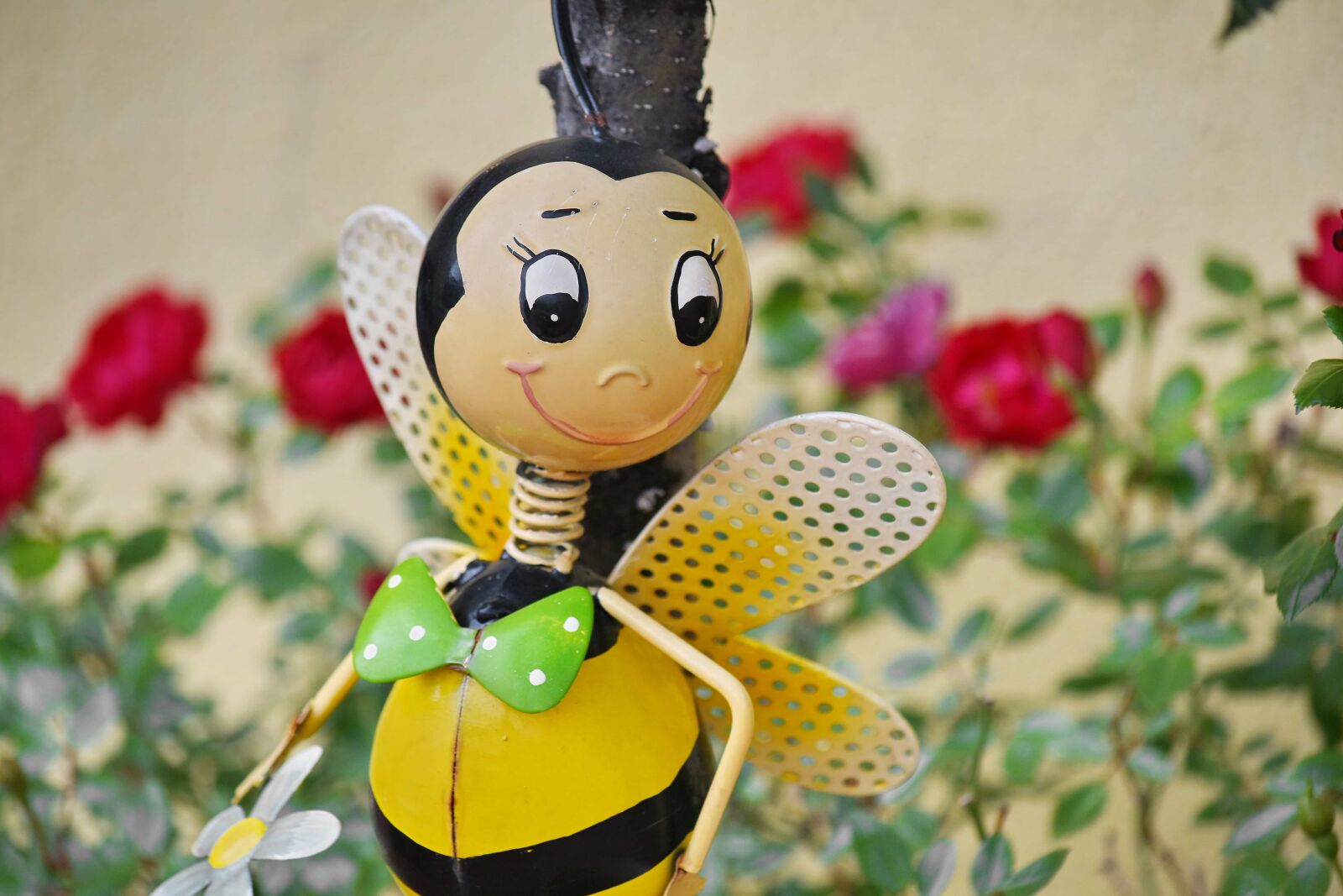 Nikon D5500 sample photo. History, honeybee, old, toy photography