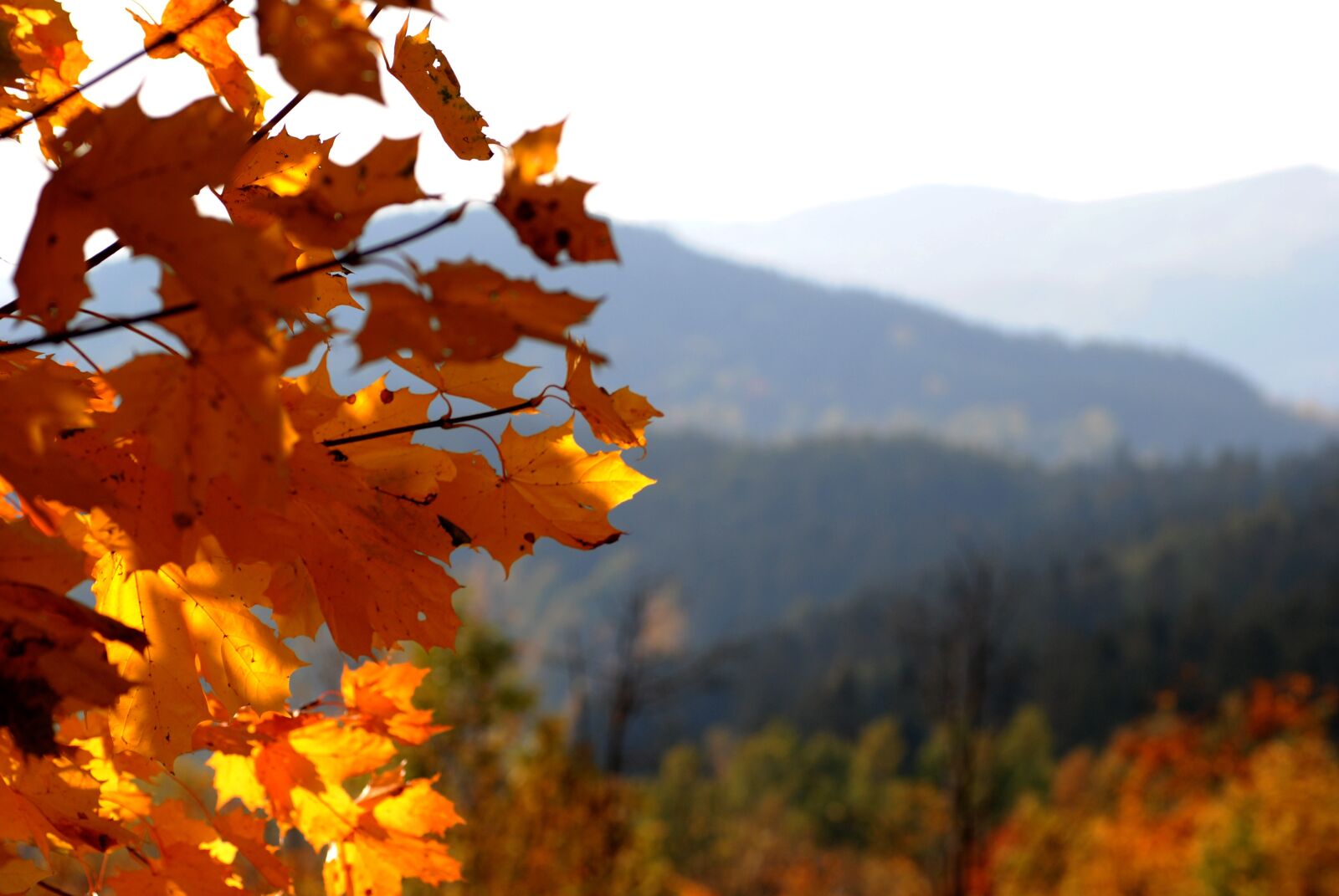 Nikon D3000 sample photo. Mountains, the giant mountains photography