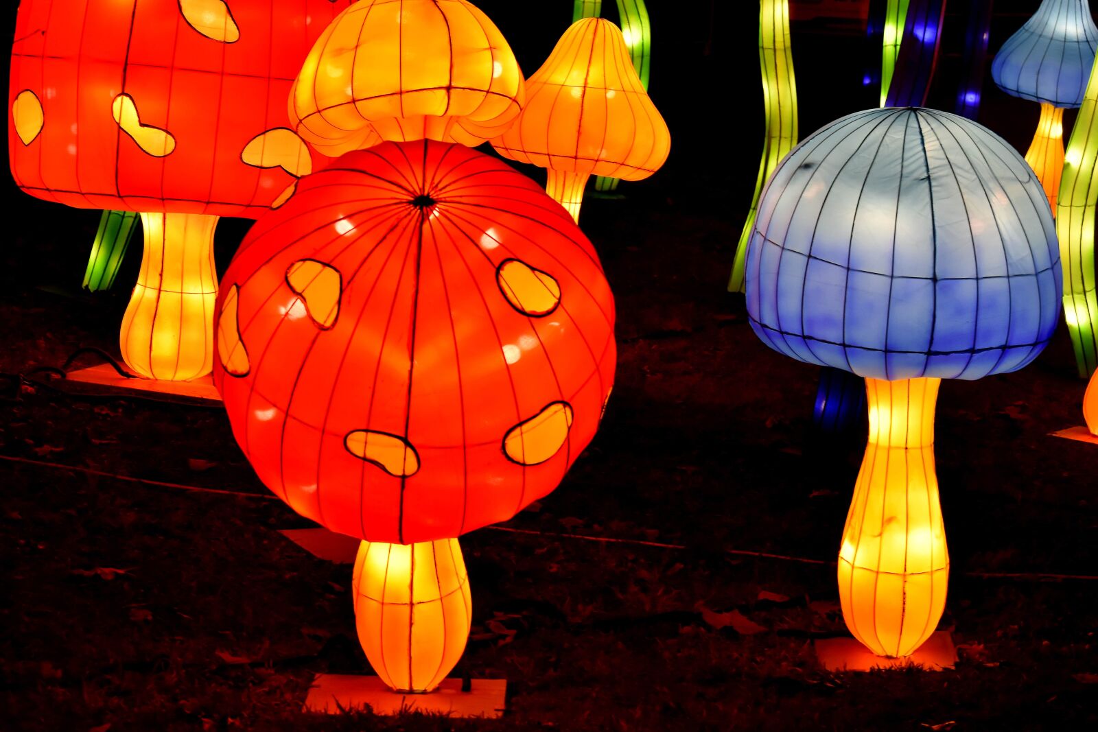 Nikon D5500 sample photo. Art, artistic, bright, lantern photography