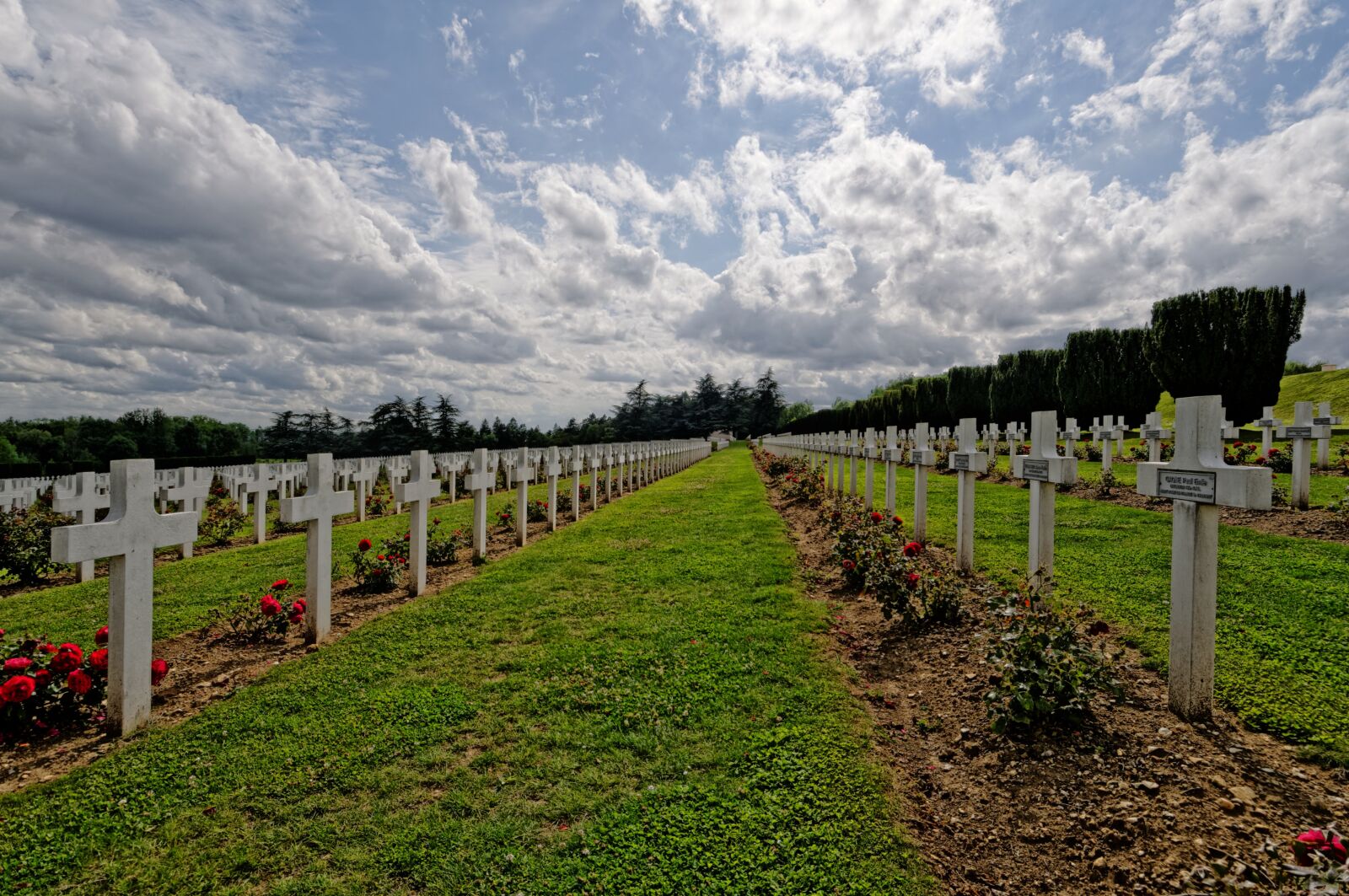 Nikon D300S sample photo. Graves, verdun, france photography