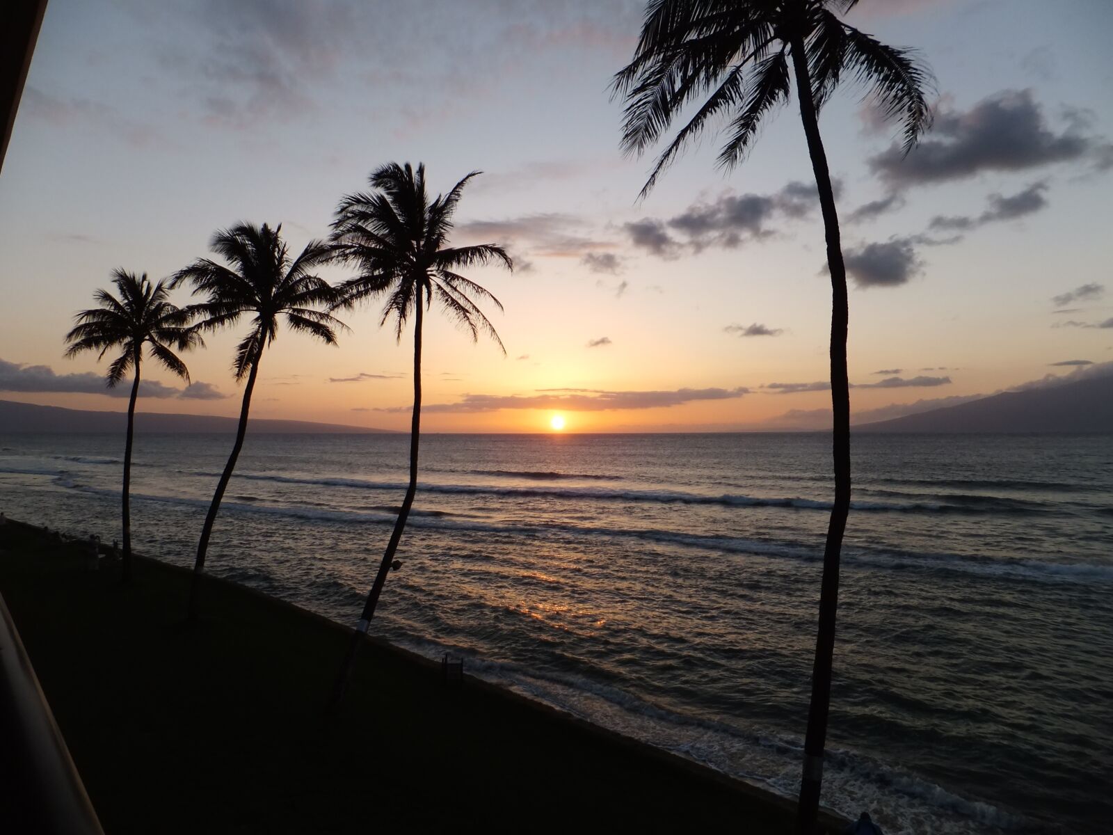 Fujifilm FinePix F505EXR sample photo. Palms, sunset, ocean photography