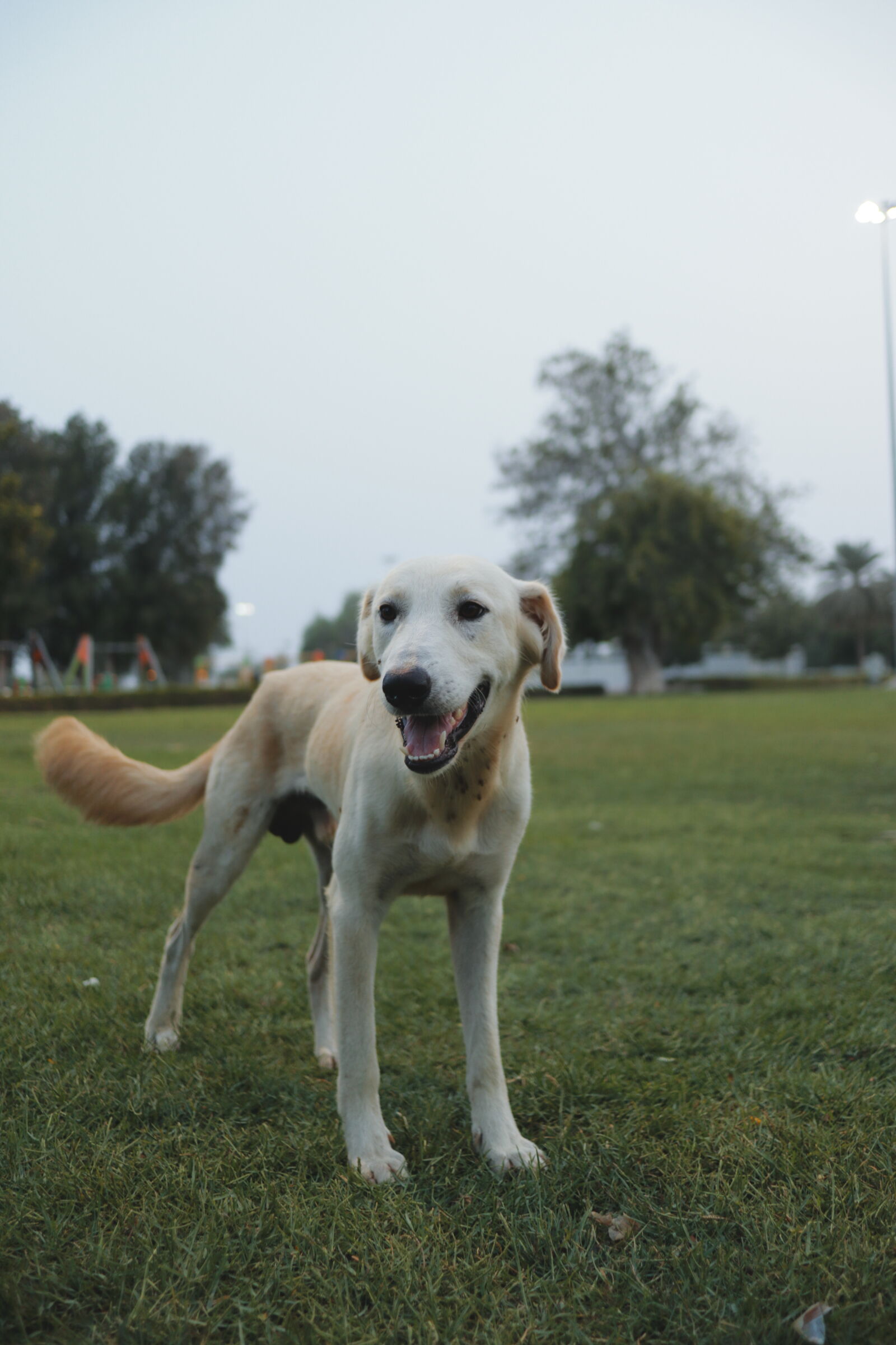 Canon EOS M6 + Canon EF-M 22mm F2 STM sample photo