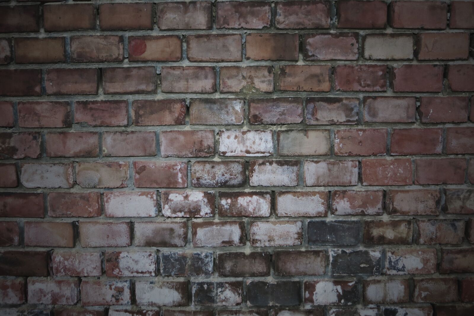 Canon PowerShot S110 sample photo. Brick, wall, background photography