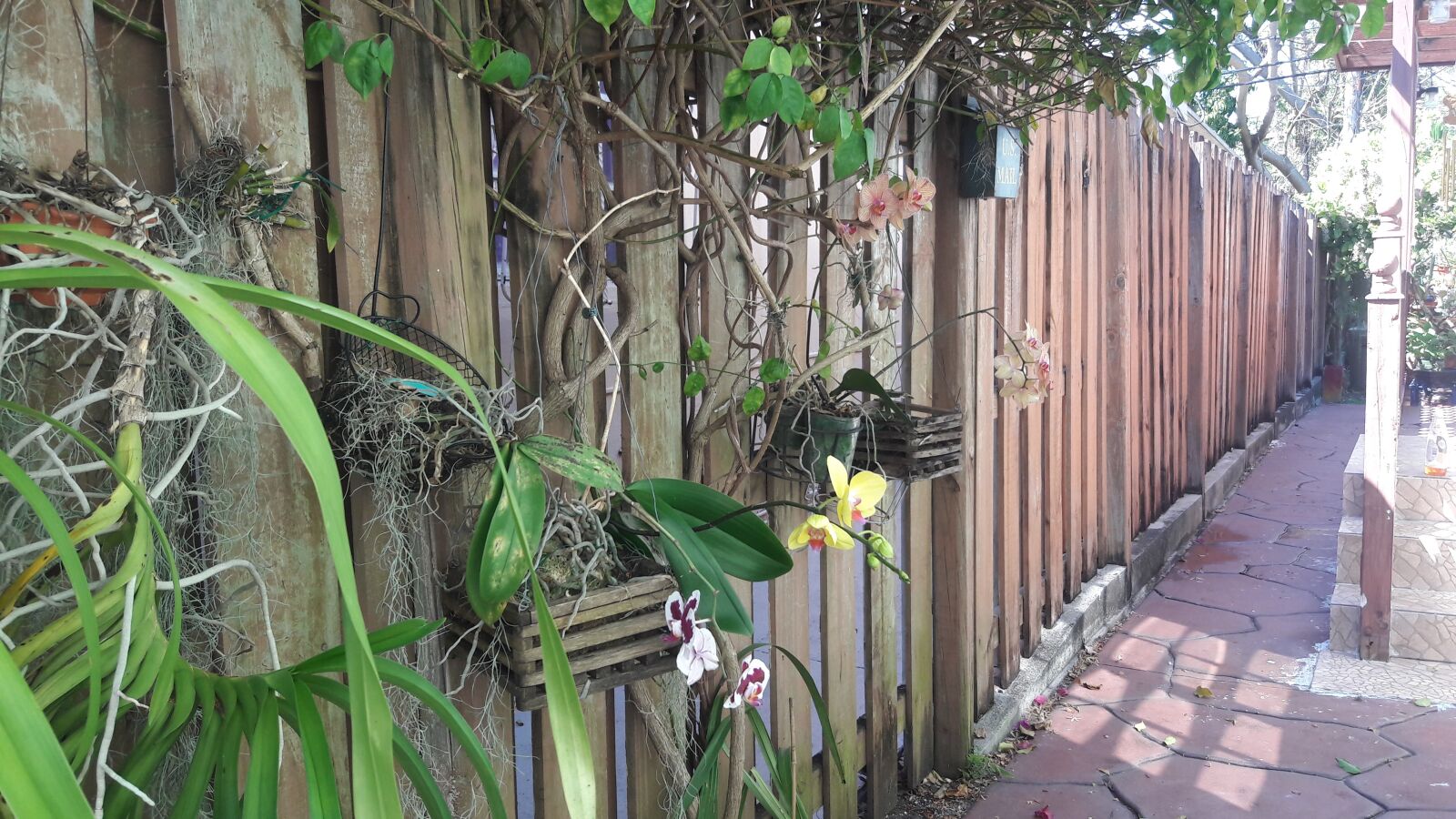 Samsung Galaxy J7 sample photo. Orchids, flower, fence with photography