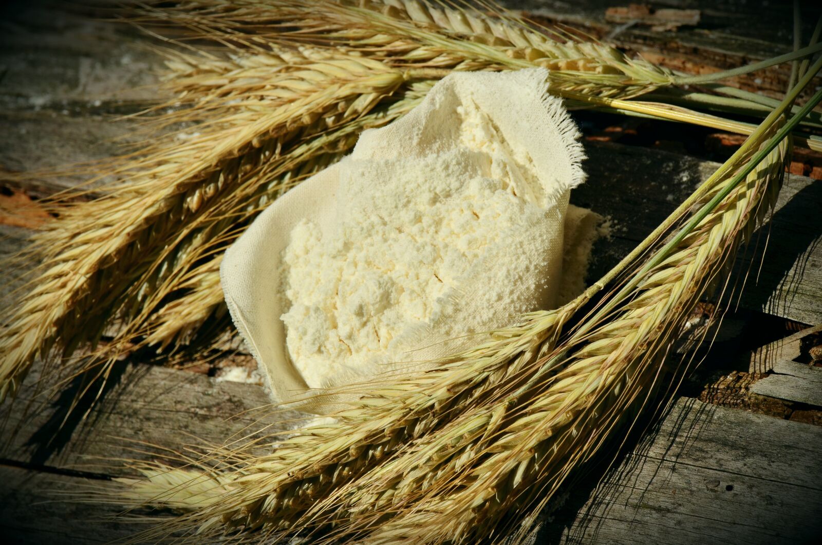 Nikon D5100 sample photo. Flour, cereals, spike photography