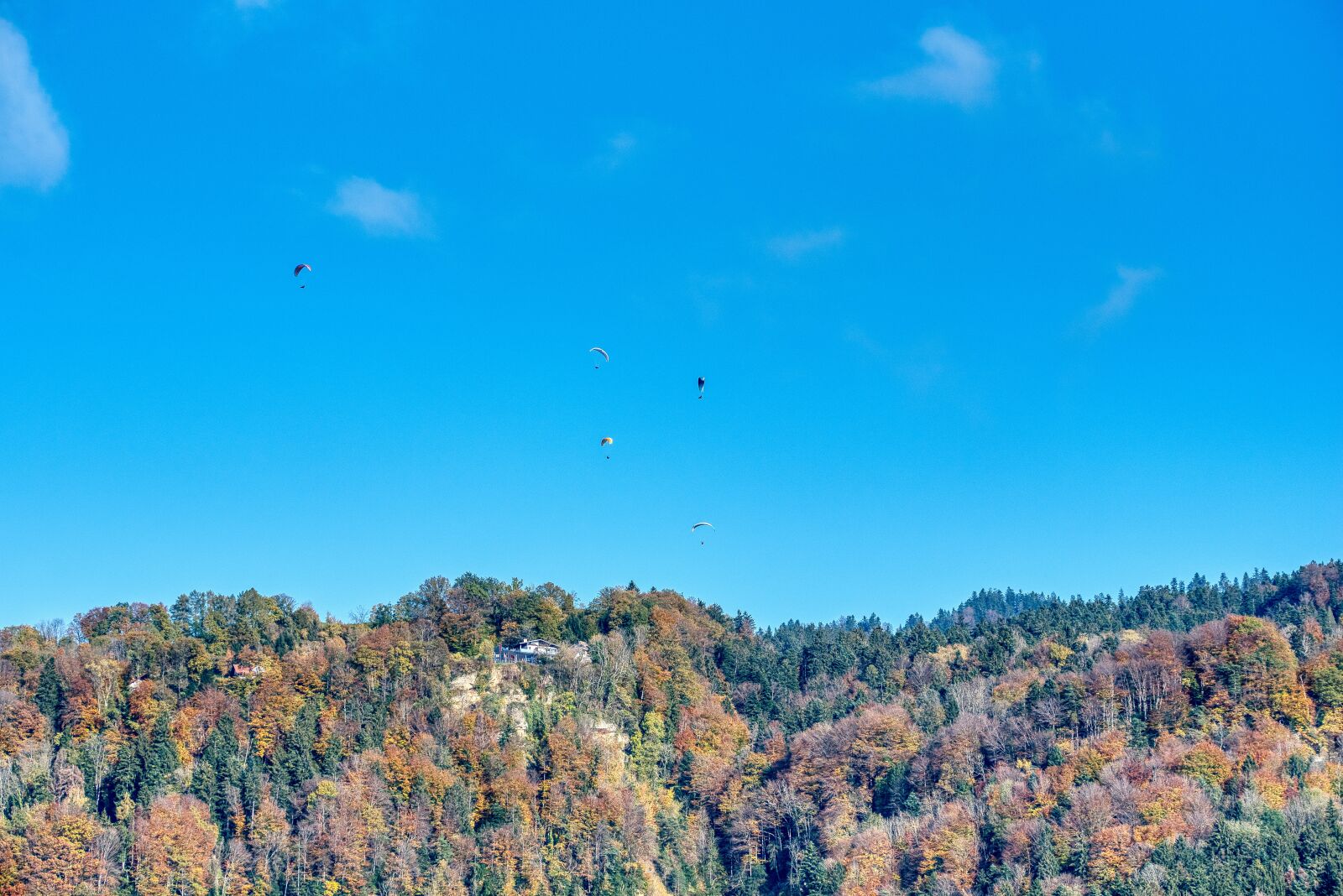 Nikon D750 sample photo. Autumn, season, mountain photography