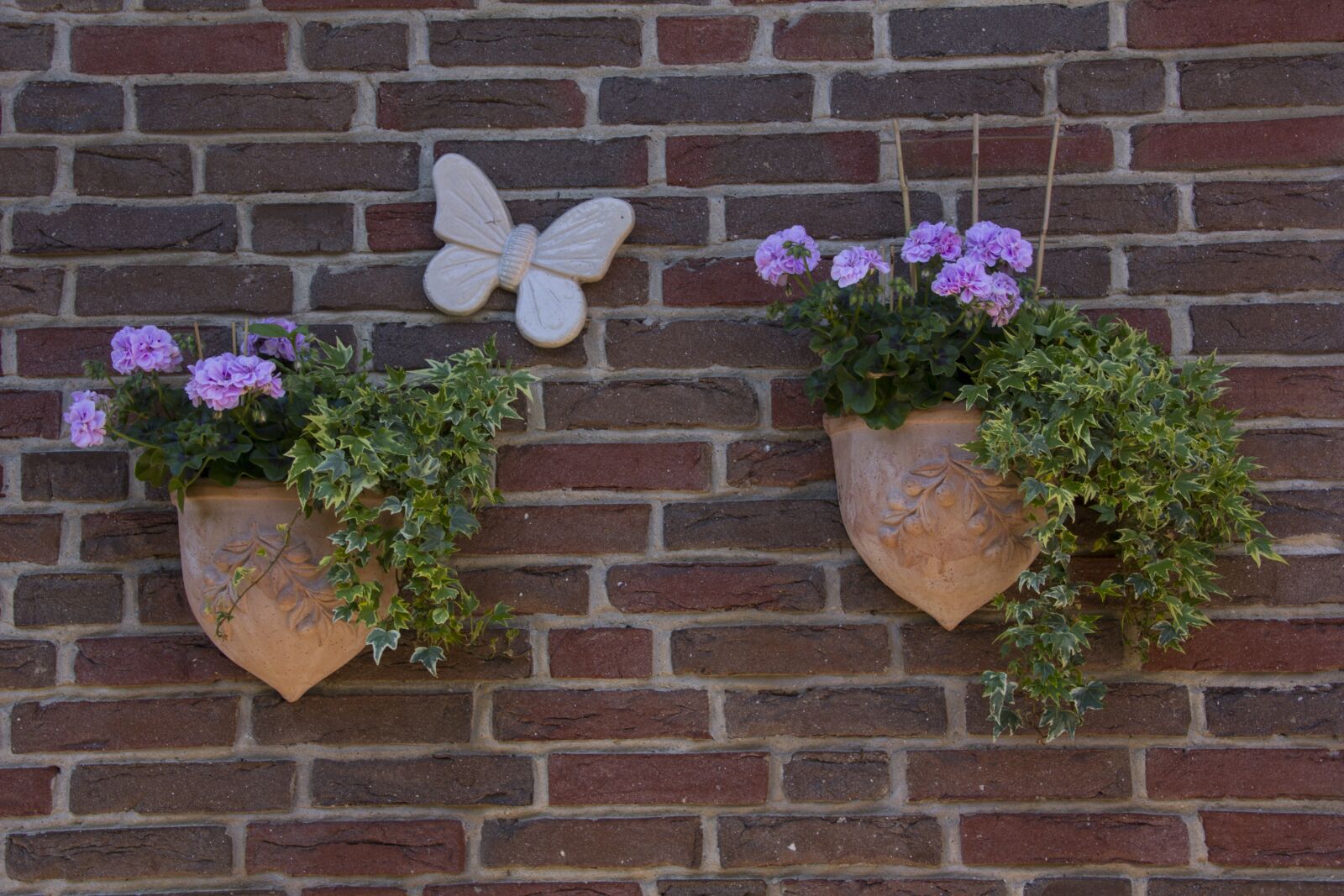 Canon EOS 60D sample photo. Deco, hauswand, flower photography