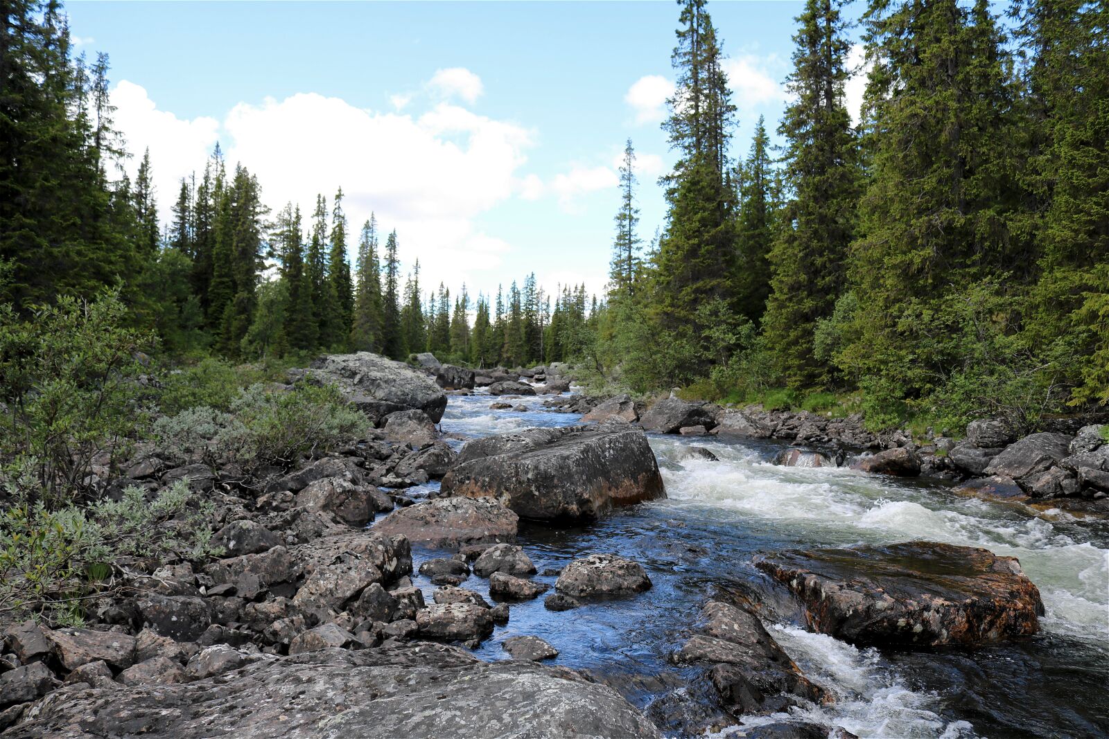 Canon EOS 750D (EOS Rebel T6i / EOS Kiss X8i) sample photo. Nature, watercourse, norway photography