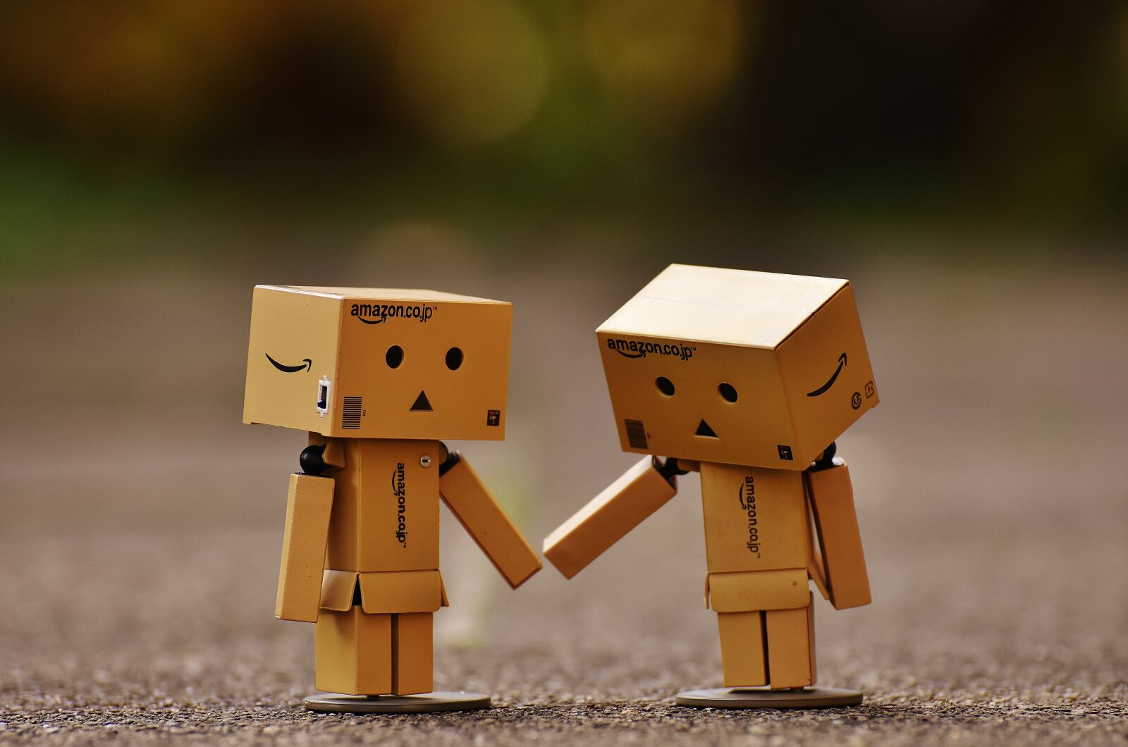 Nikon D7200 sample photo. Danbo, figure, together photography