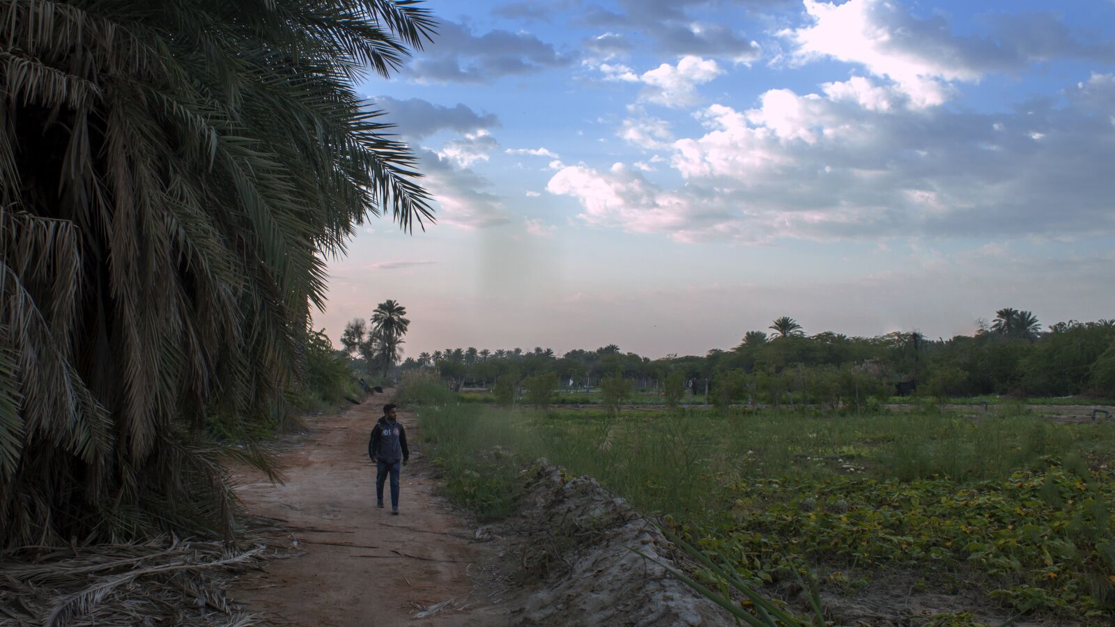 Canon EOS 600D (Rebel EOS T3i / EOS Kiss X5) sample photo. Morning walk, nature, farm photography