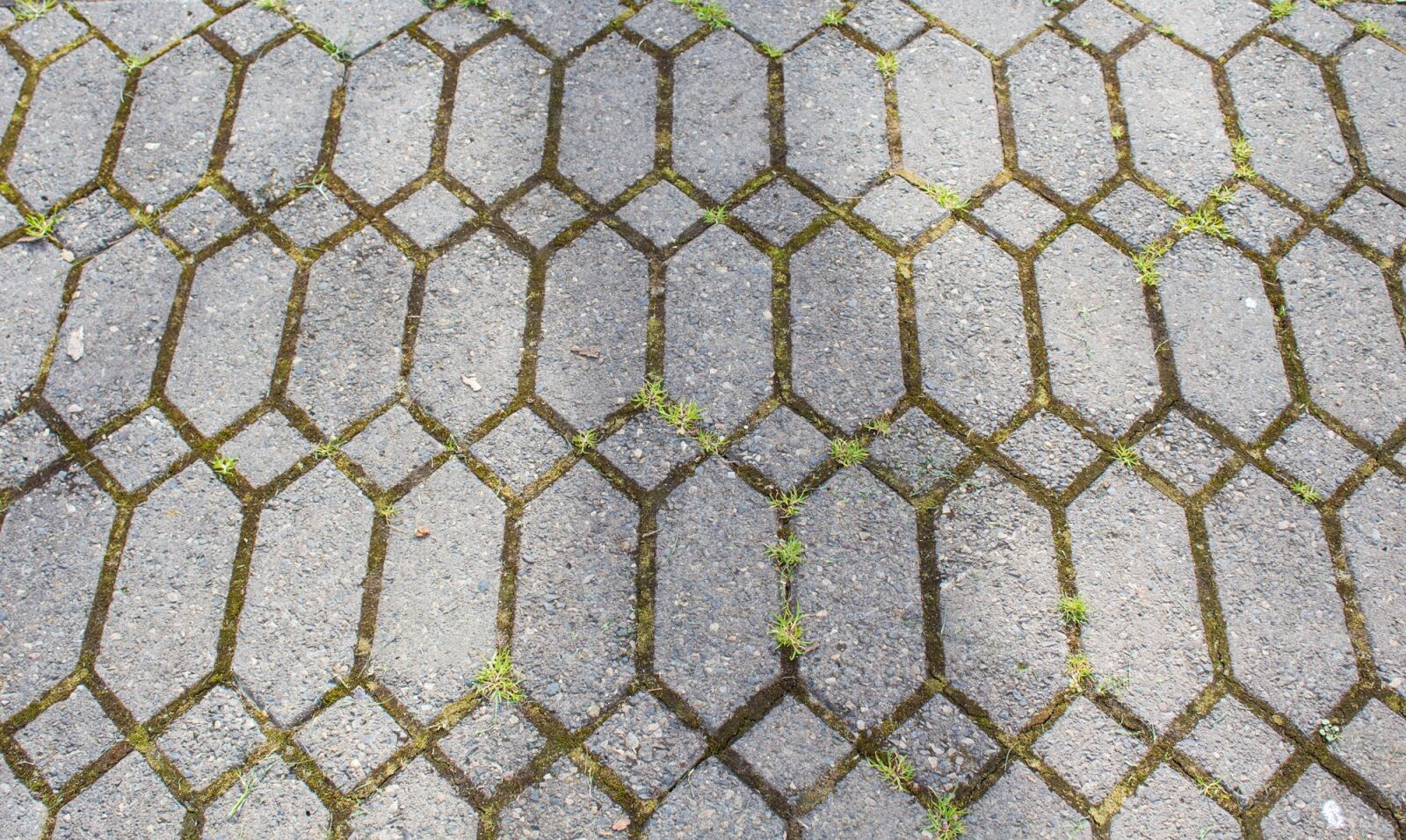 Canon EOS 1300D (EOS Rebel T6 / EOS Kiss X80) sample photo. Pattern, abstract, mosaic photography