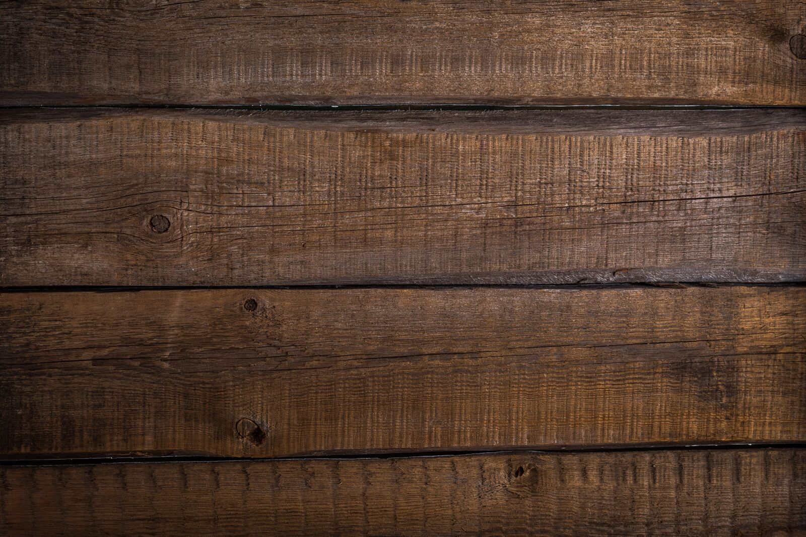 Canon EF 50mm F1.8 II sample photo. Background, tree, wood photography