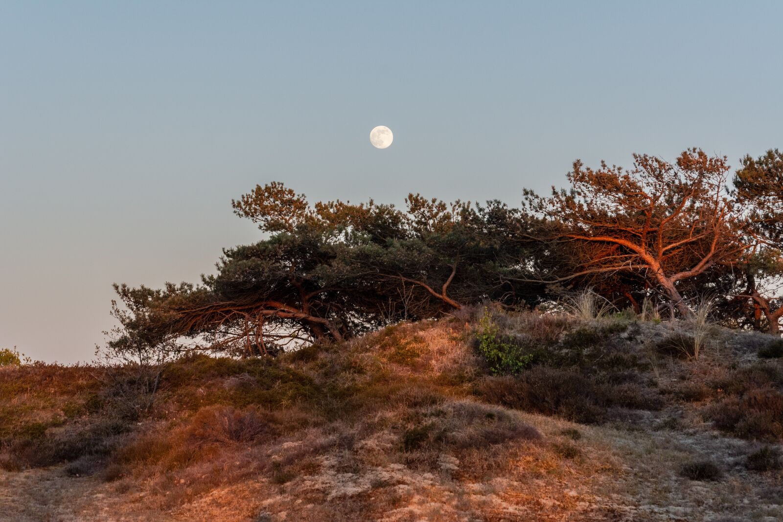 Nikon D5200 sample photo. Dunes, moon, dune photography