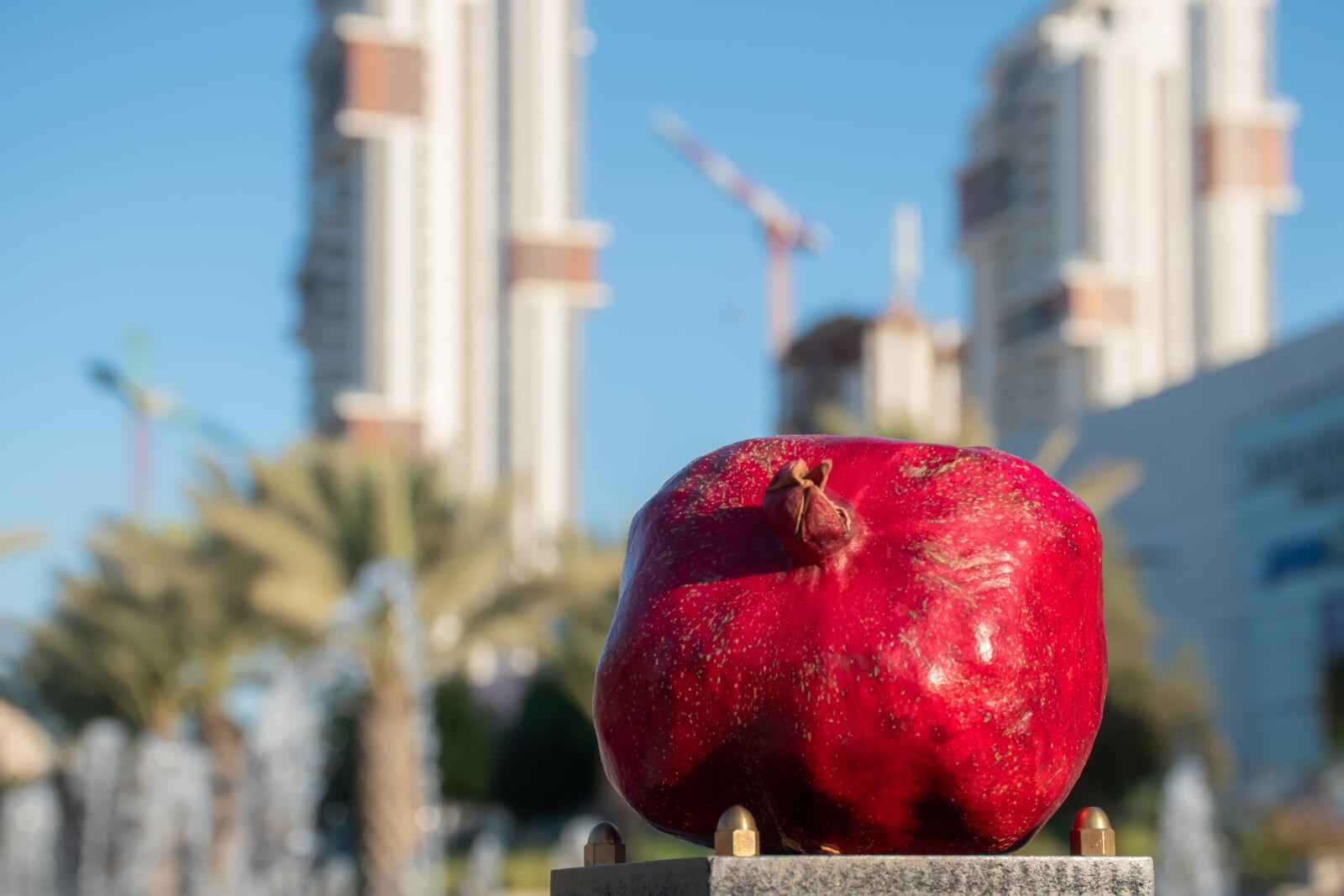 Nikon D5600 sample photo. Pomegranate, sweet, rosh hashanah photography