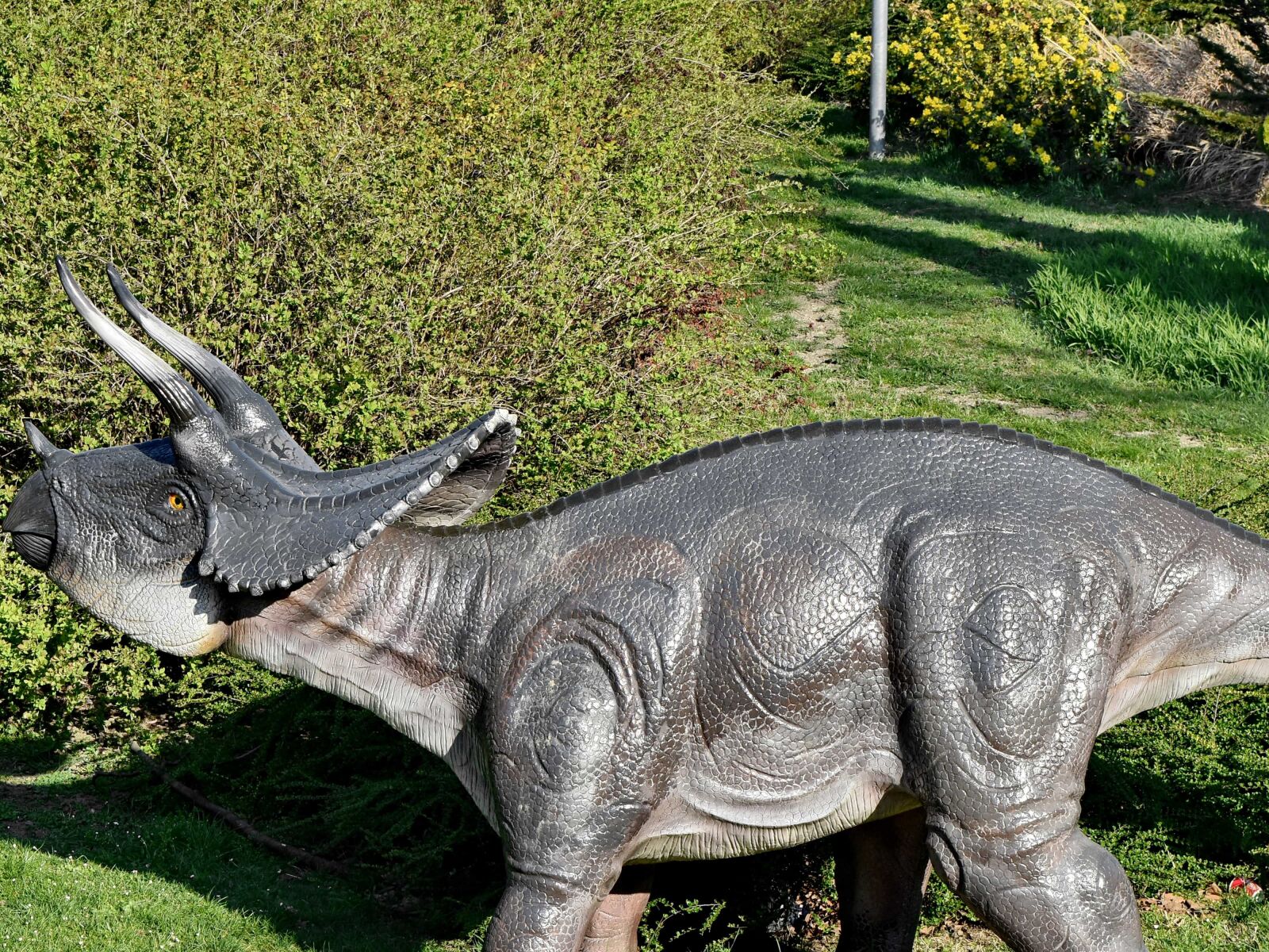 Nikon D5500 sample photo. Nature, wildlife, animal, dinosaur photography