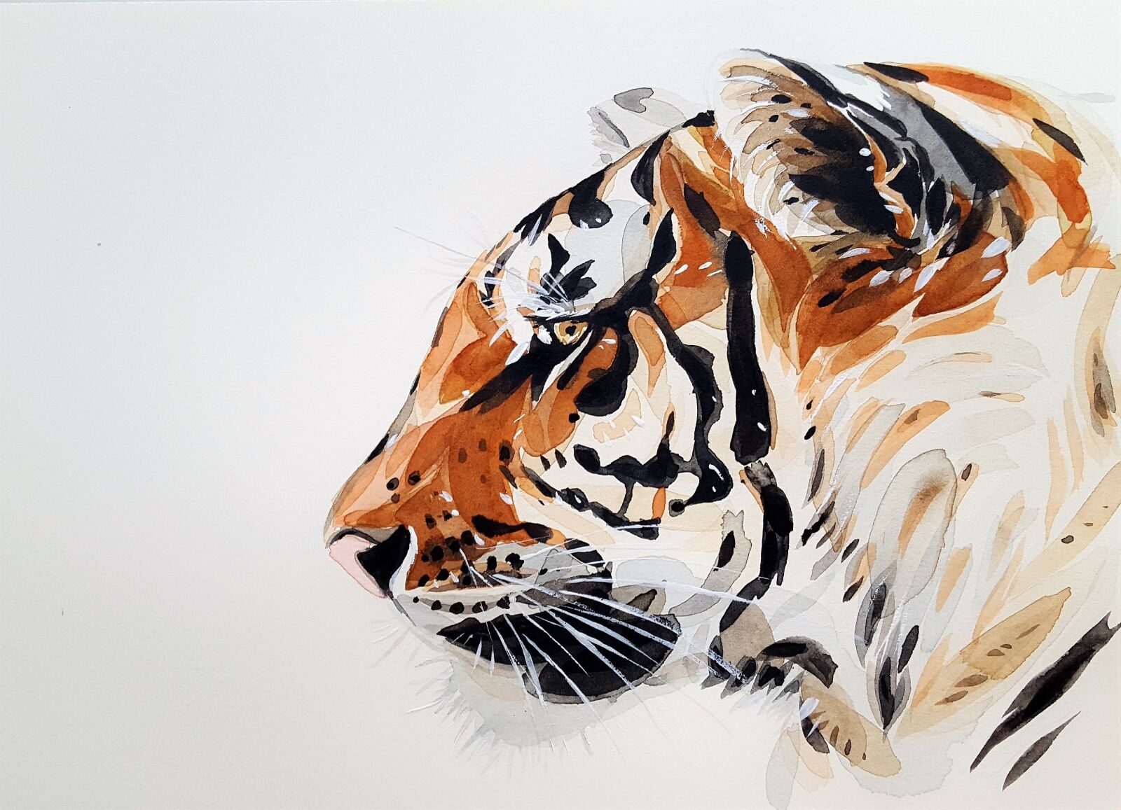 Samsung Galaxy S6 sample photo. Tiger, animal, nature photography