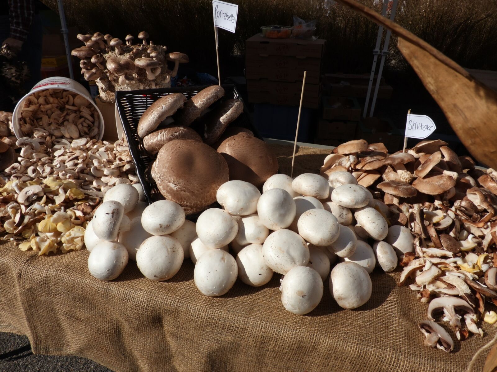 Canon XC10 sample photo. Farmers market, fresh, ripe photography