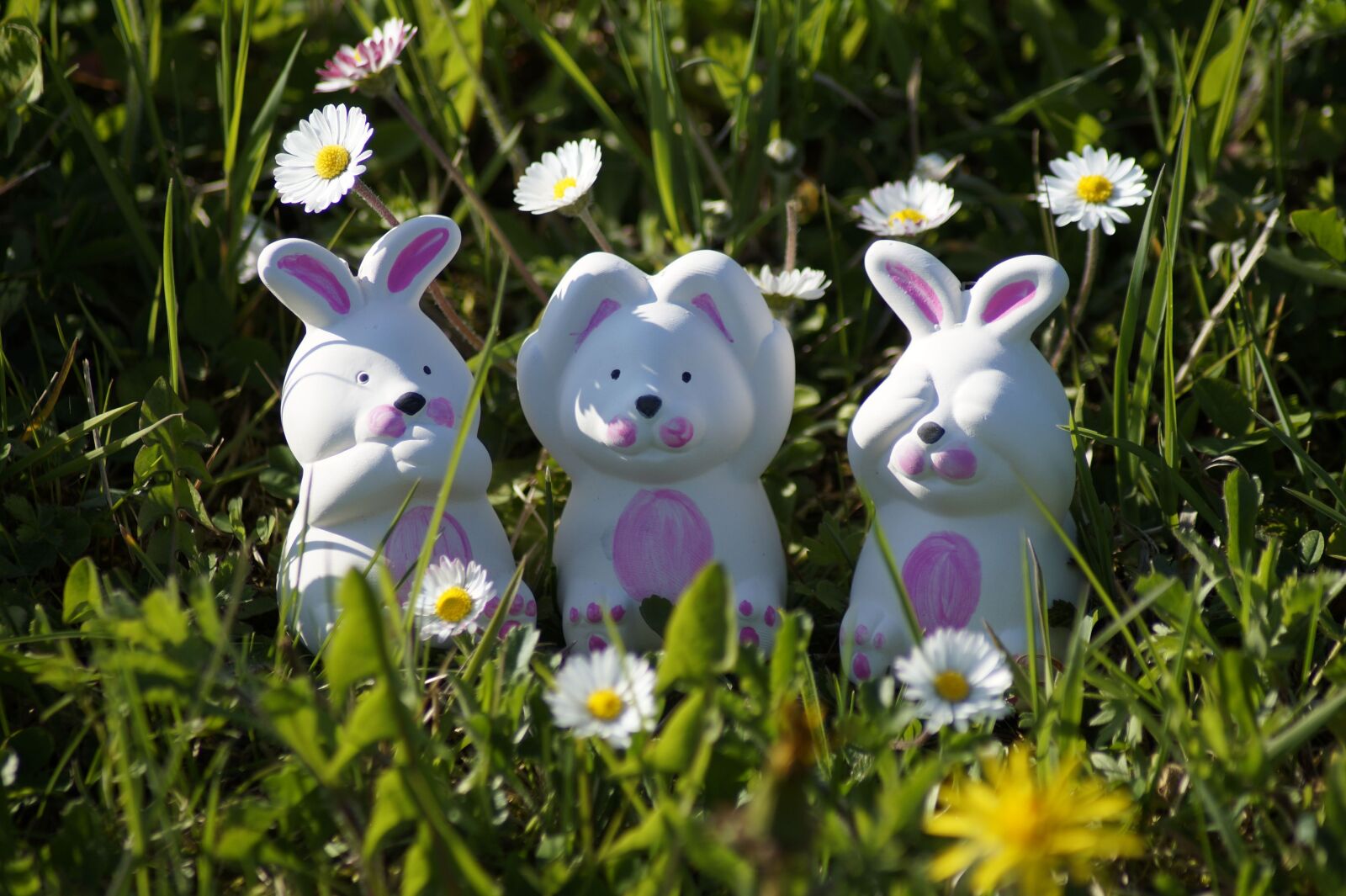 Sony SLT-A58 sample photo. Easter, easter bunny, spring photography