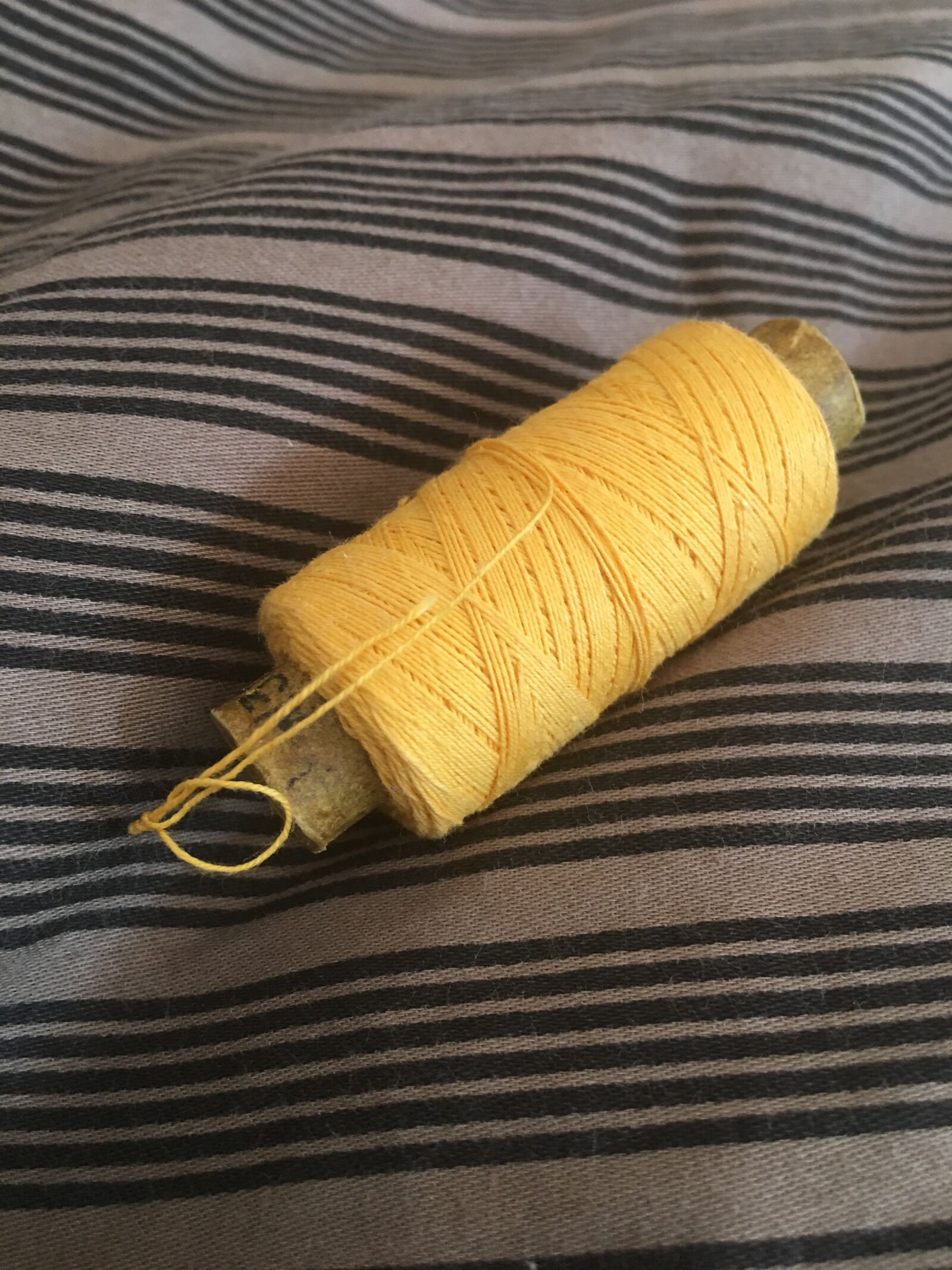 Apple iPhone 6s Plus sample photo. Twine, thread, tailor photography