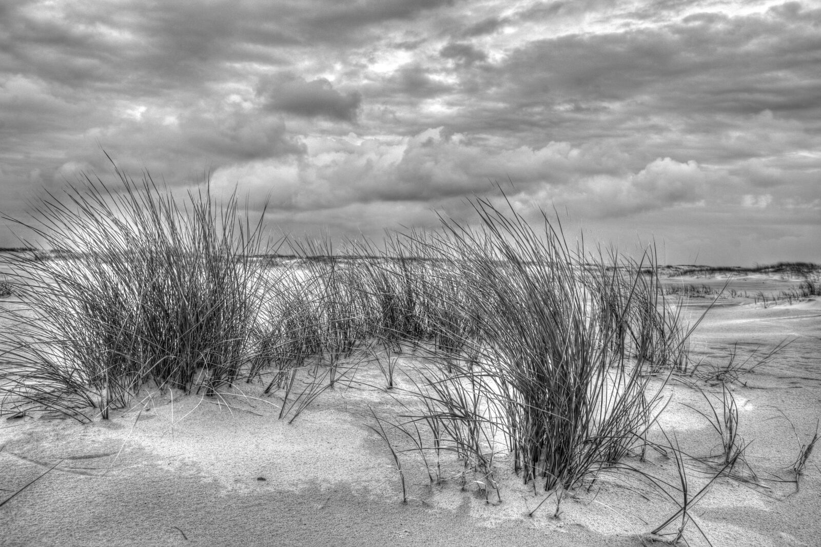 Nikon D7100 sample photo. Black and white, beach photography
