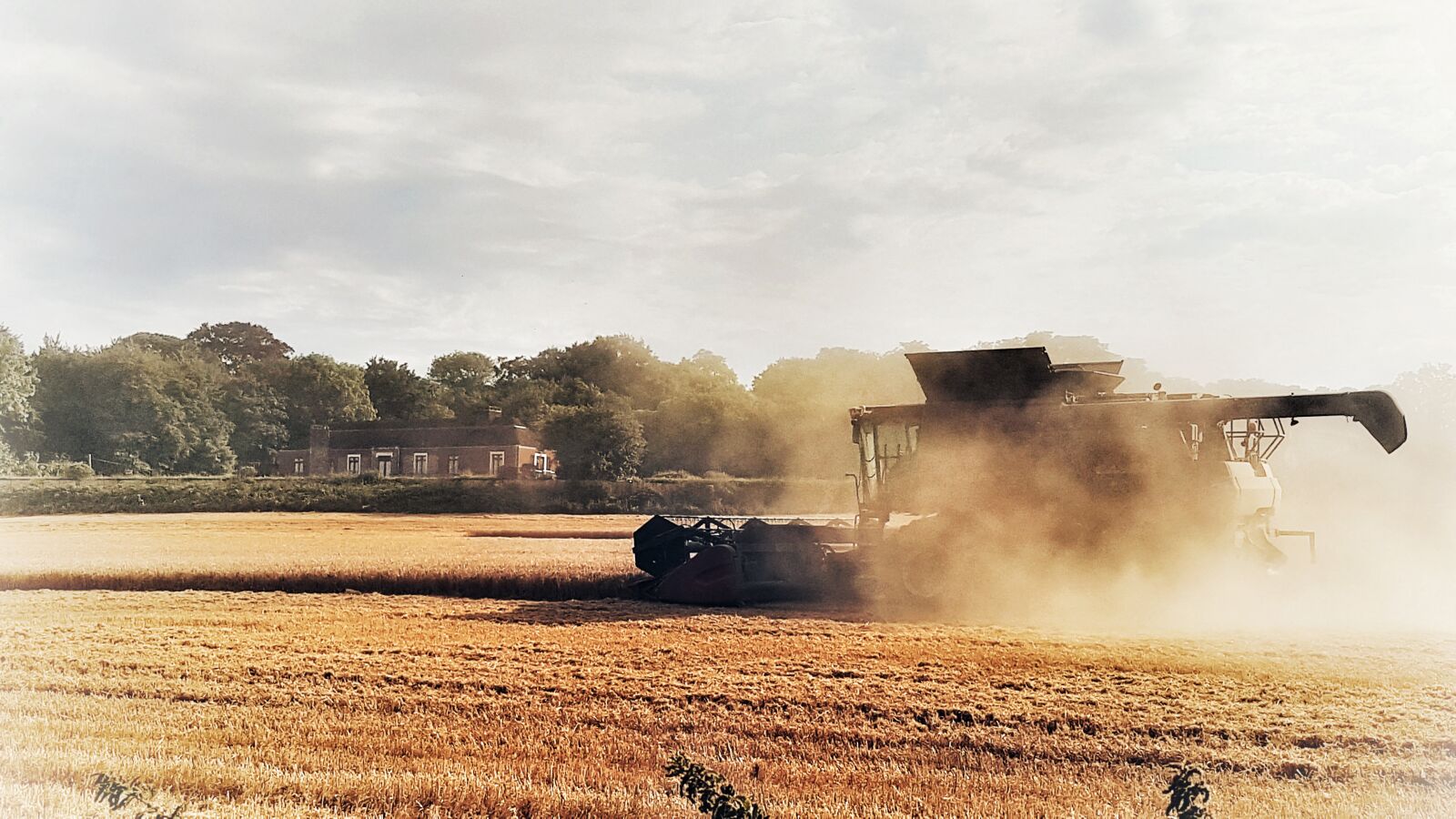 Samsung SM-G930F sample photo. Harvest, harvesting, combine harvester photography