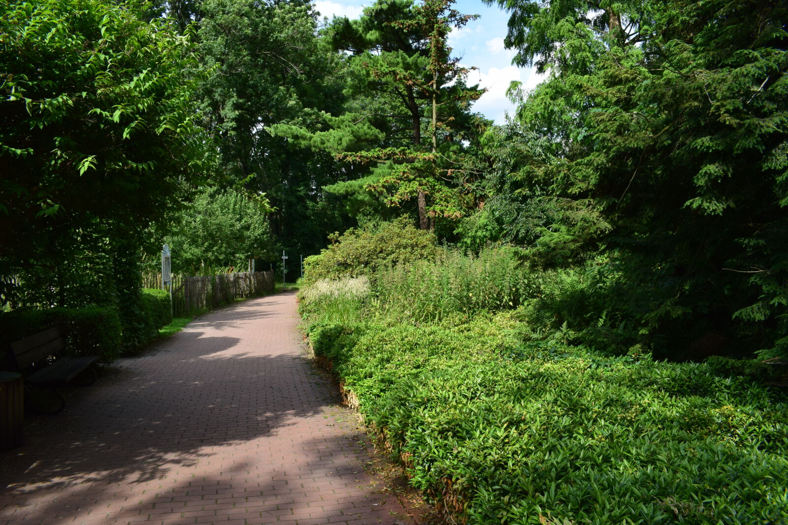 Nikon AF-P DX Nikkor 18-55mm F3.5-5.6G sample photo. Alley, nature, park photography