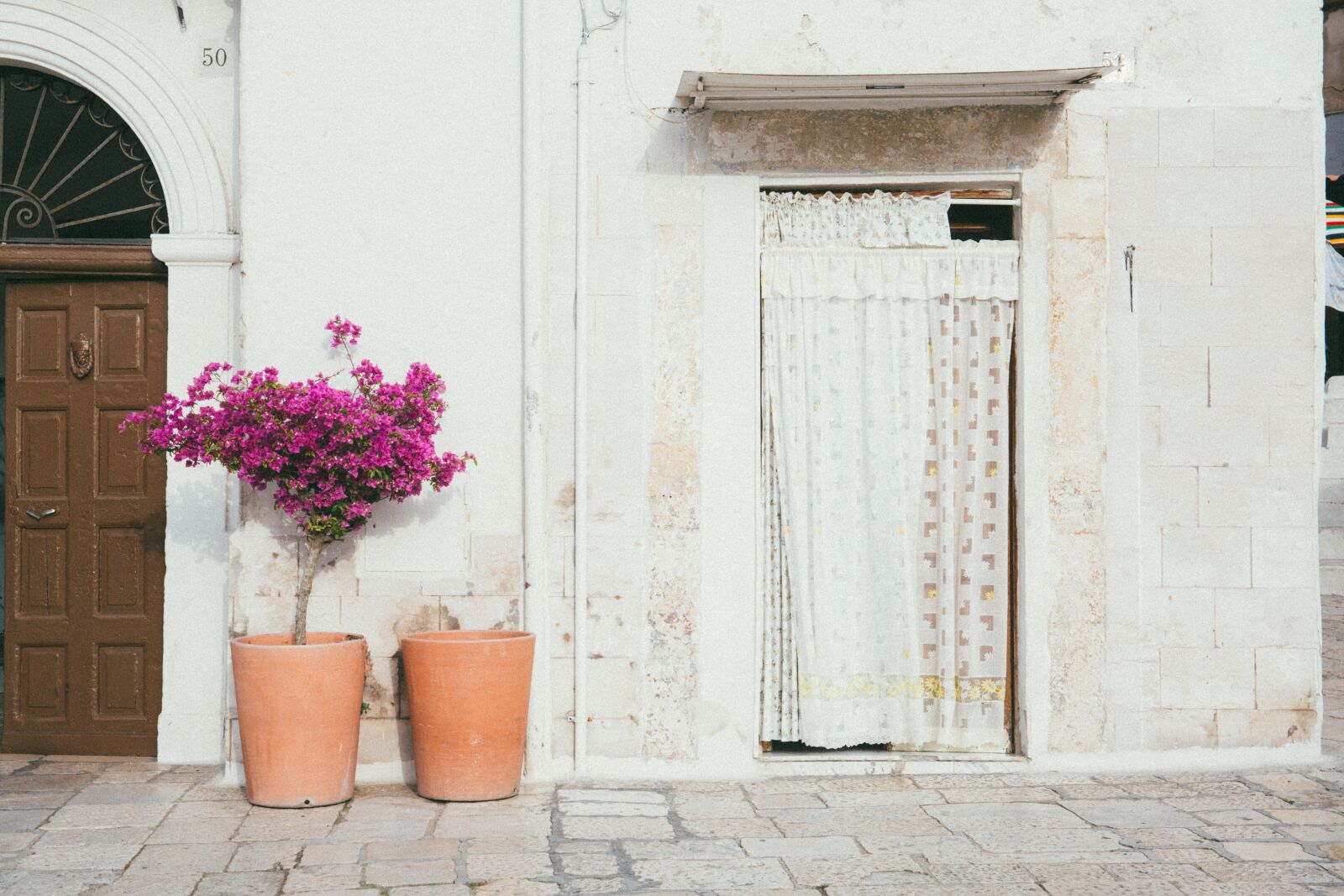 Canon EF 24-70mm F4L IS USM sample photo. Door, wall, flower photography