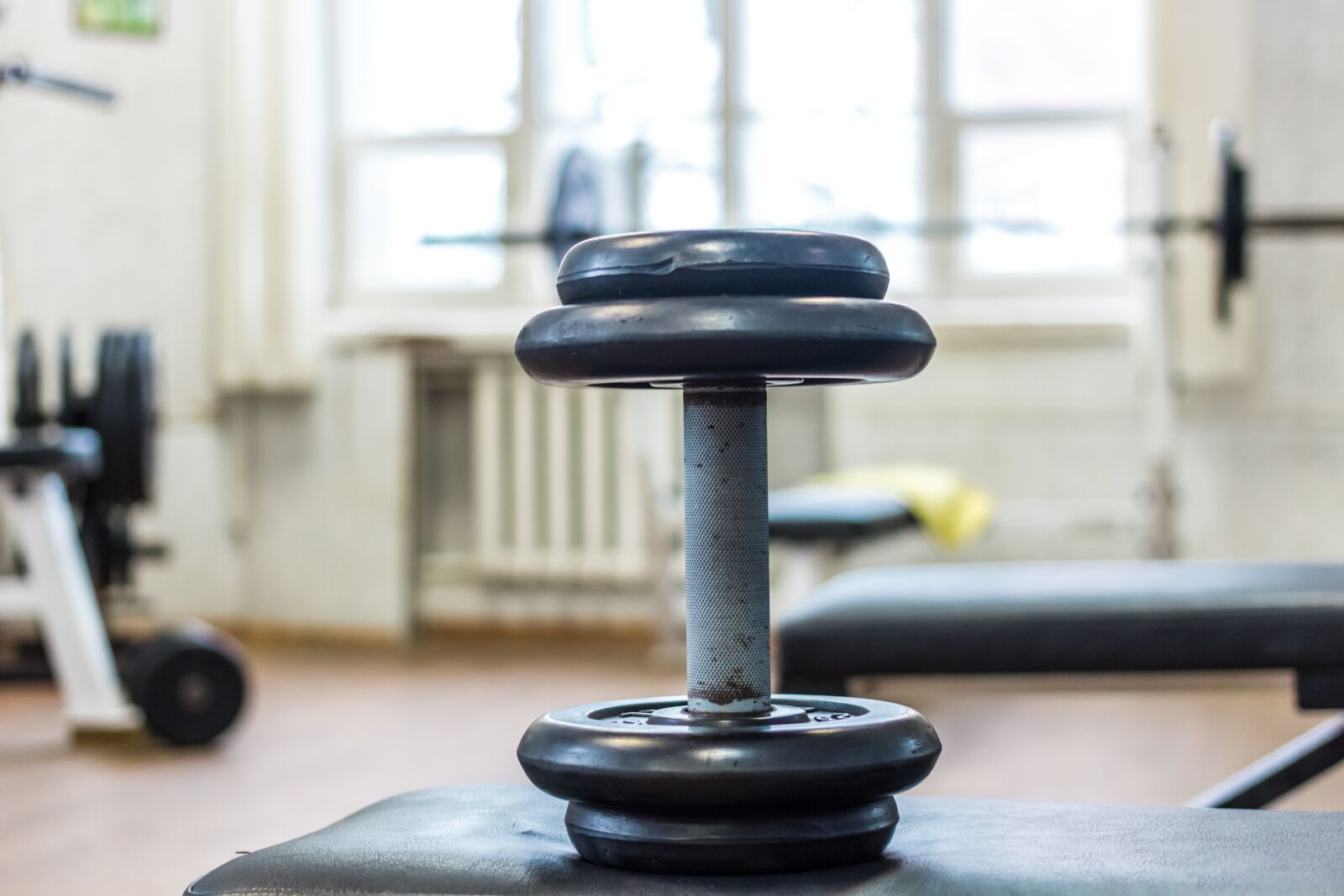 Canon EF 40mm F2.8 STM sample photo. Dumbbell, gym, sports photography