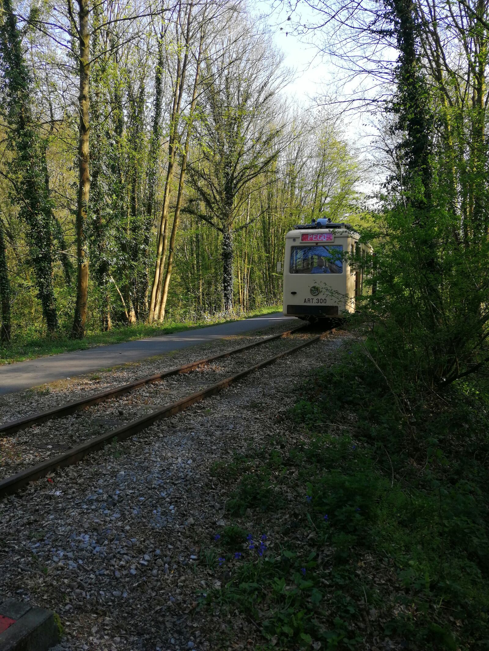 HUAWEI SNE-LX1 sample photo. Tram, antique, rails photography