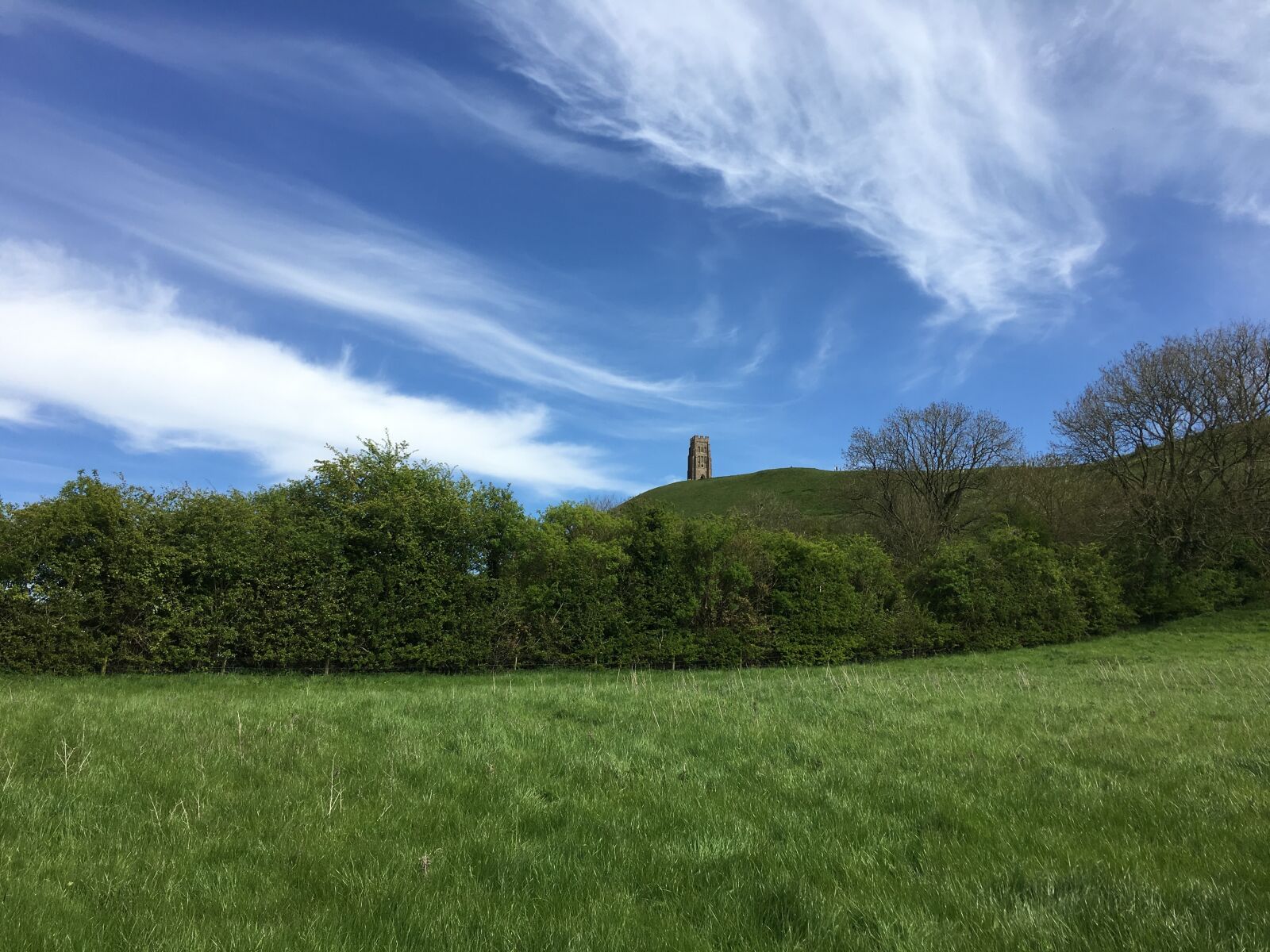 Apple iPhone 6s Plus sample photo. Green, sky, hedge photography