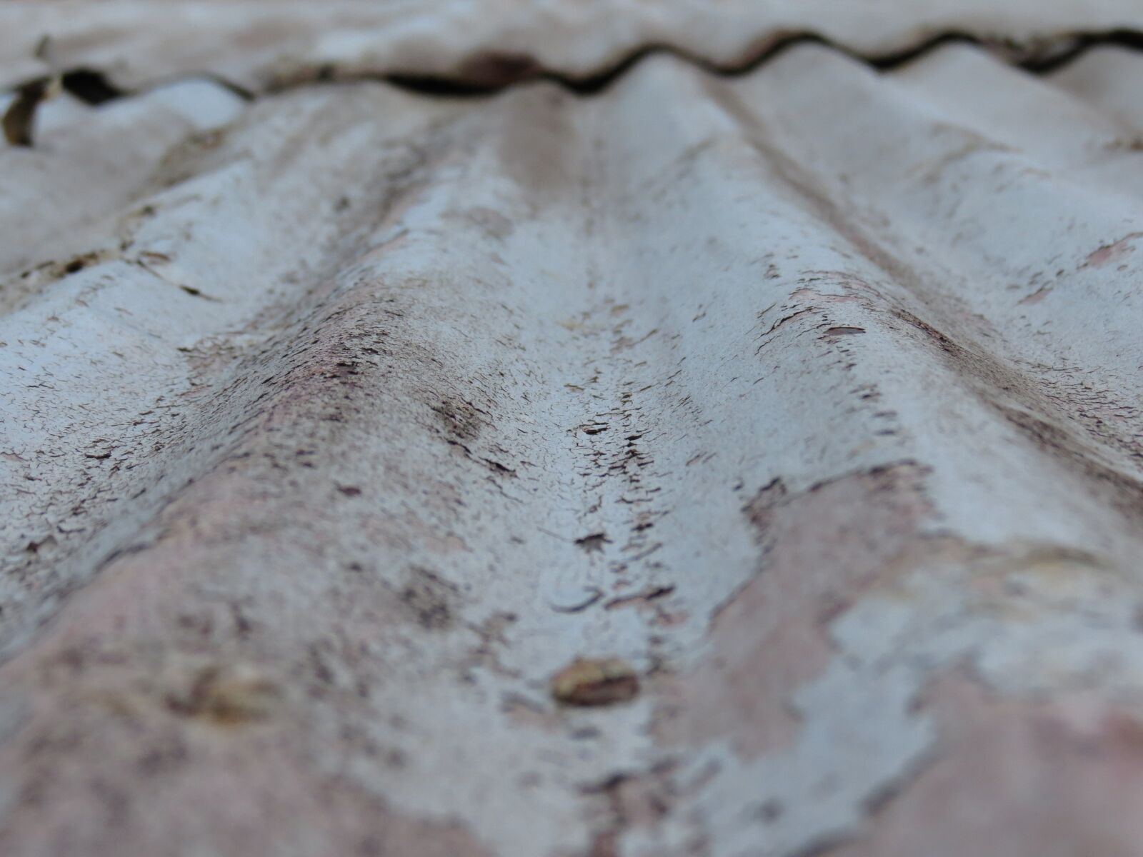 Canon PowerShot SX40 HS sample photo. Rusted, industrial, abandoned photography
