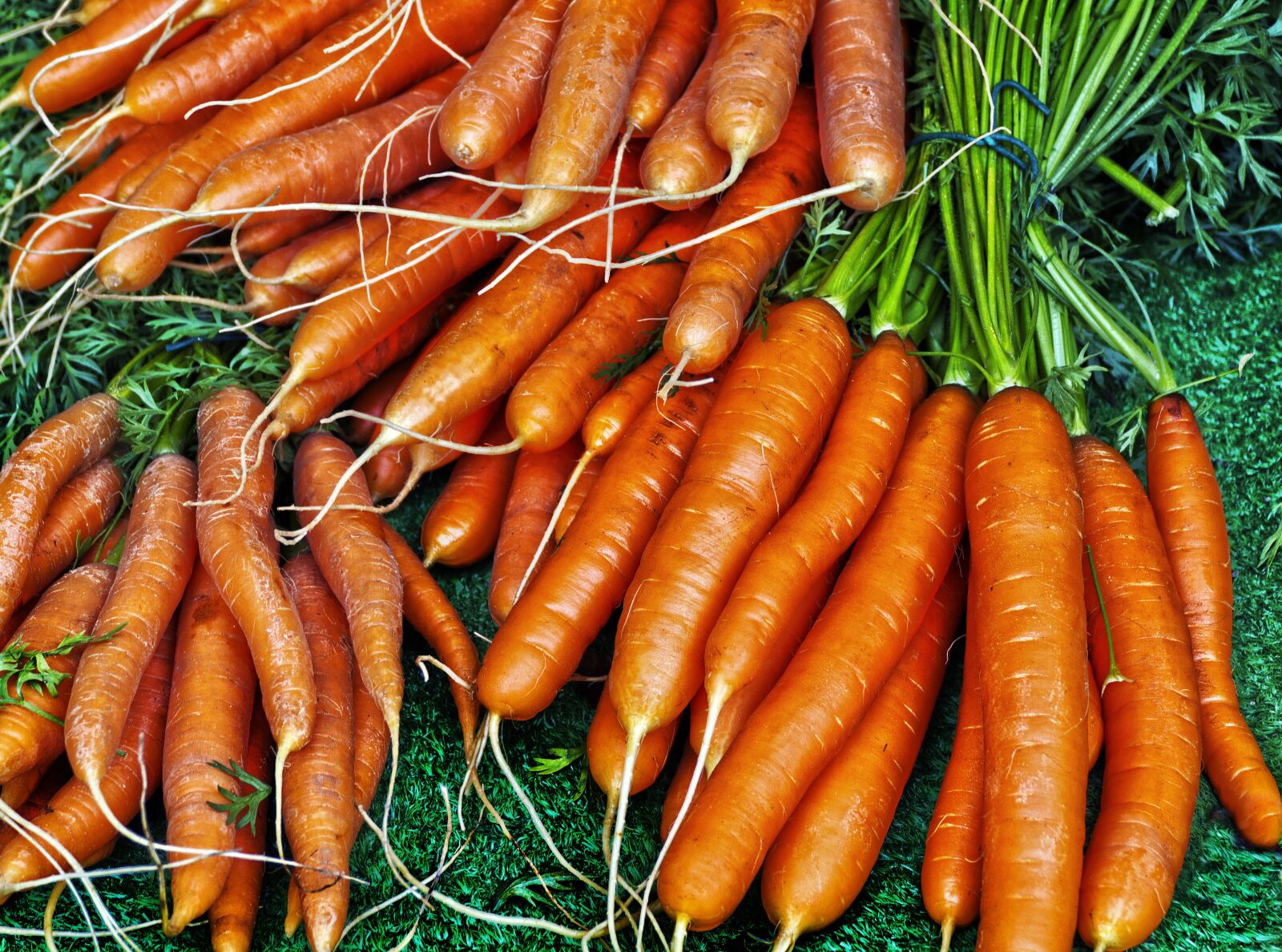 Panasonic Lumix DMC-FZ1000 sample photo. Carrot, yellow beet, carrots photography