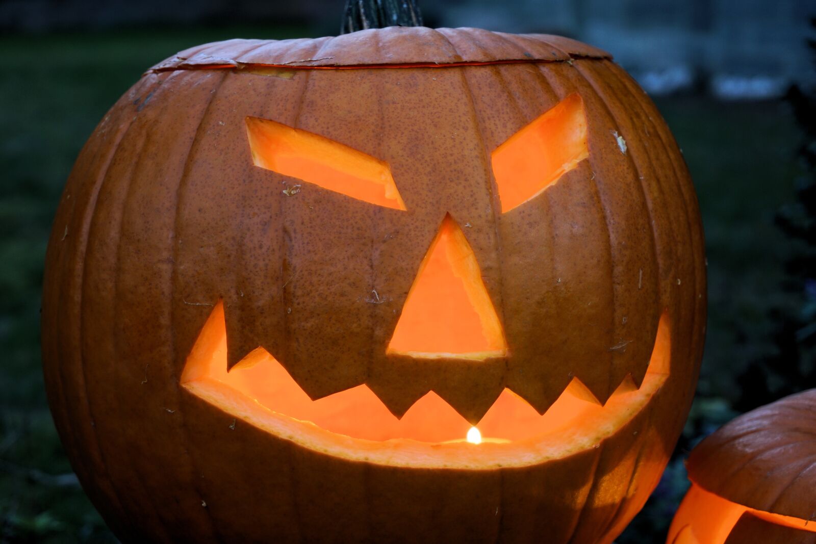 Sony a6000 sample photo. Pumpkin, halloween, autumn photography