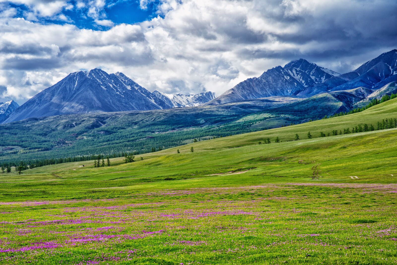 Nikon D800E sample photo. Landscape, mongolia, the russian photography