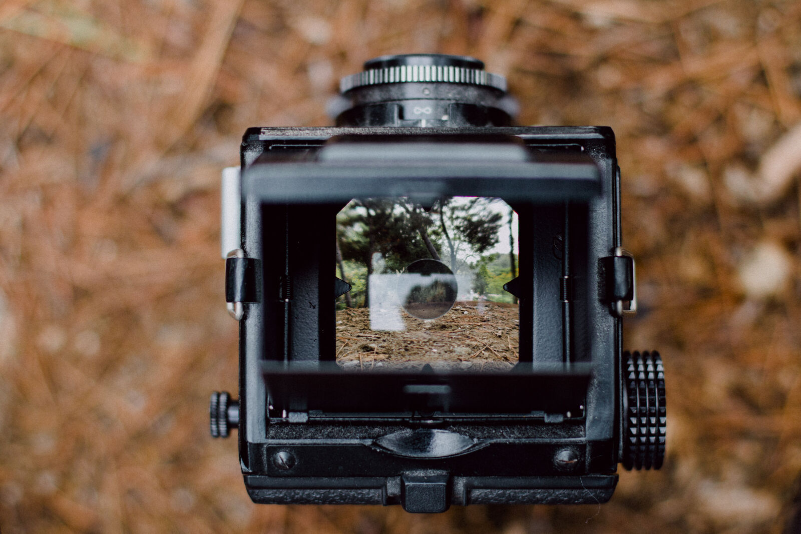 Canon EOS 70D + Canon EF 50mm F1.4 USM sample photo. Action, analog, analog, camera photography