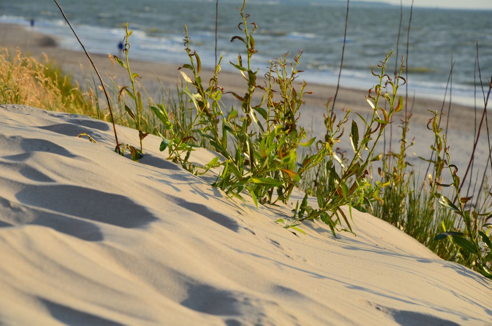 Nikon D5100 sample photo. Holidays, the baltic sea photography