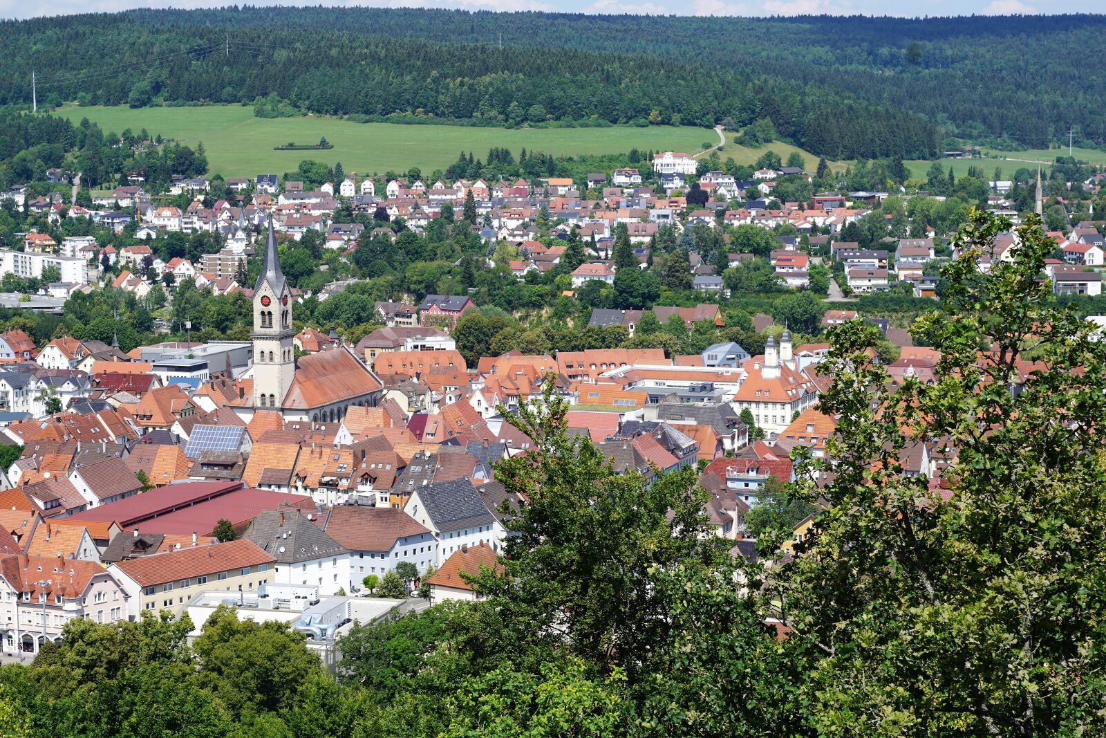 Sony ILCA-77M2 + Sony DT 16-50mm F2.8 SSM sample photo. Castle, tuttlingen, honing mountain photography
