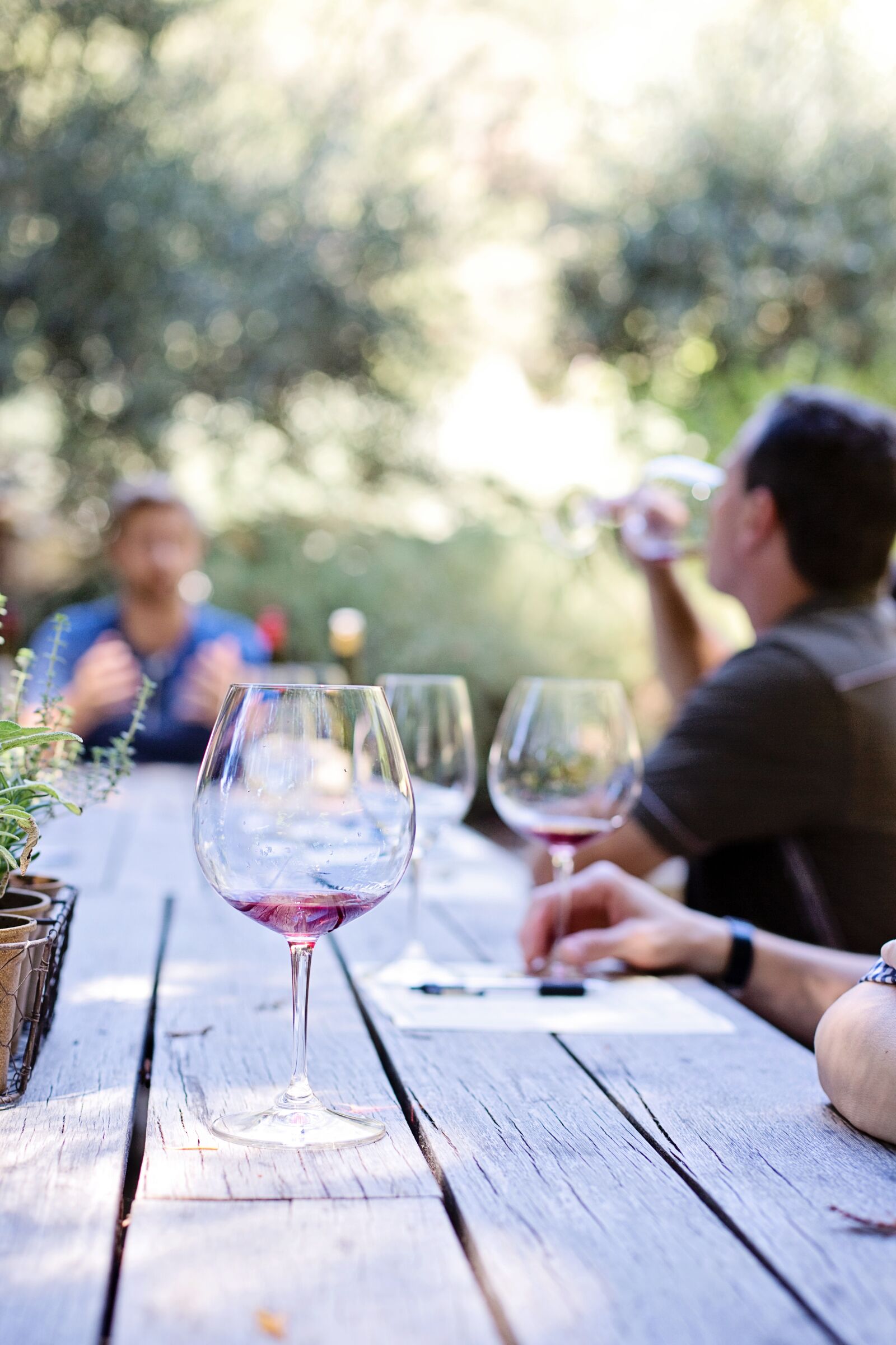 Canon EOS 5D Mark III sample photo. Wine tasting, winery, vineyard photography