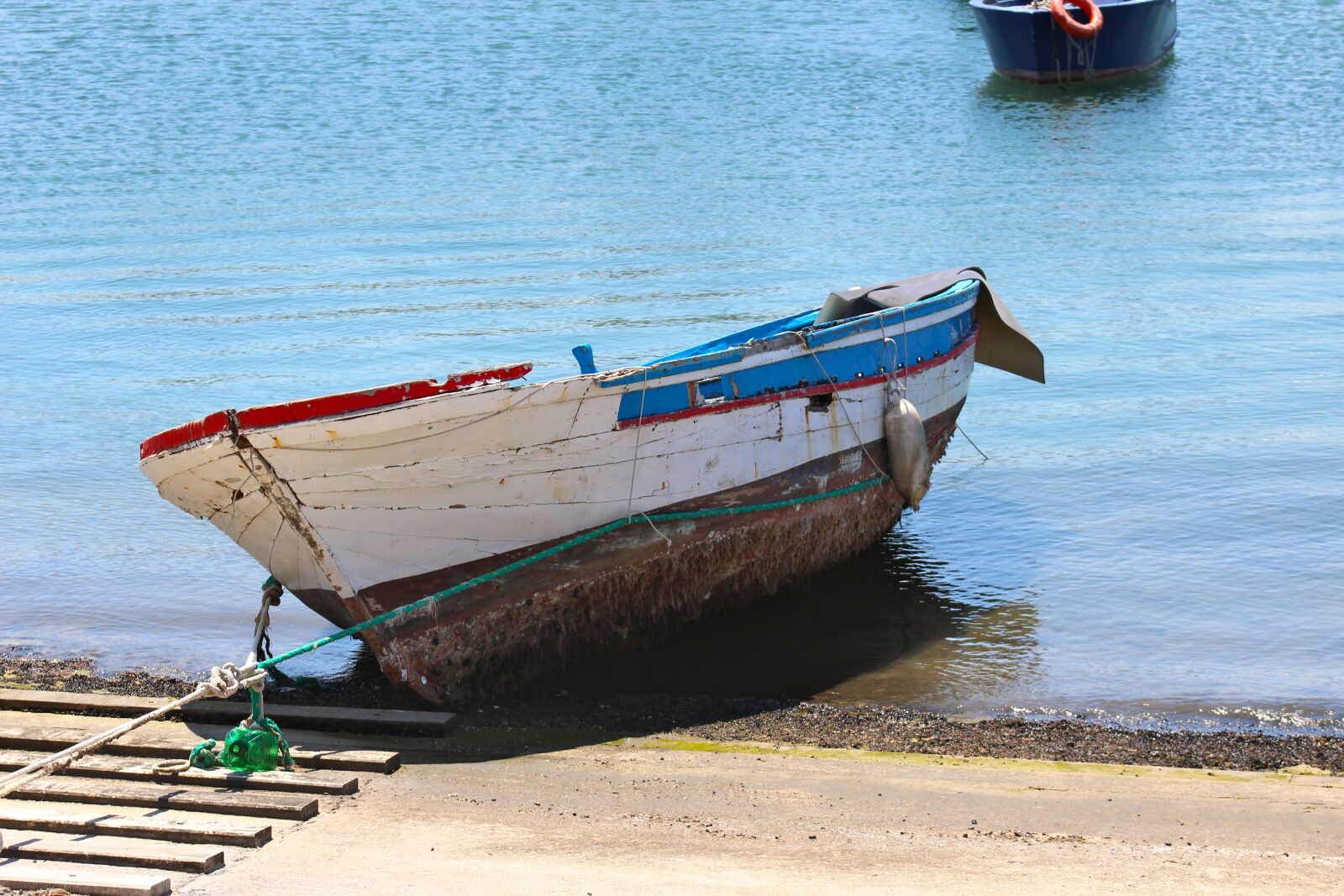 Canon EF 75-300mm f/4-5.6 sample photo