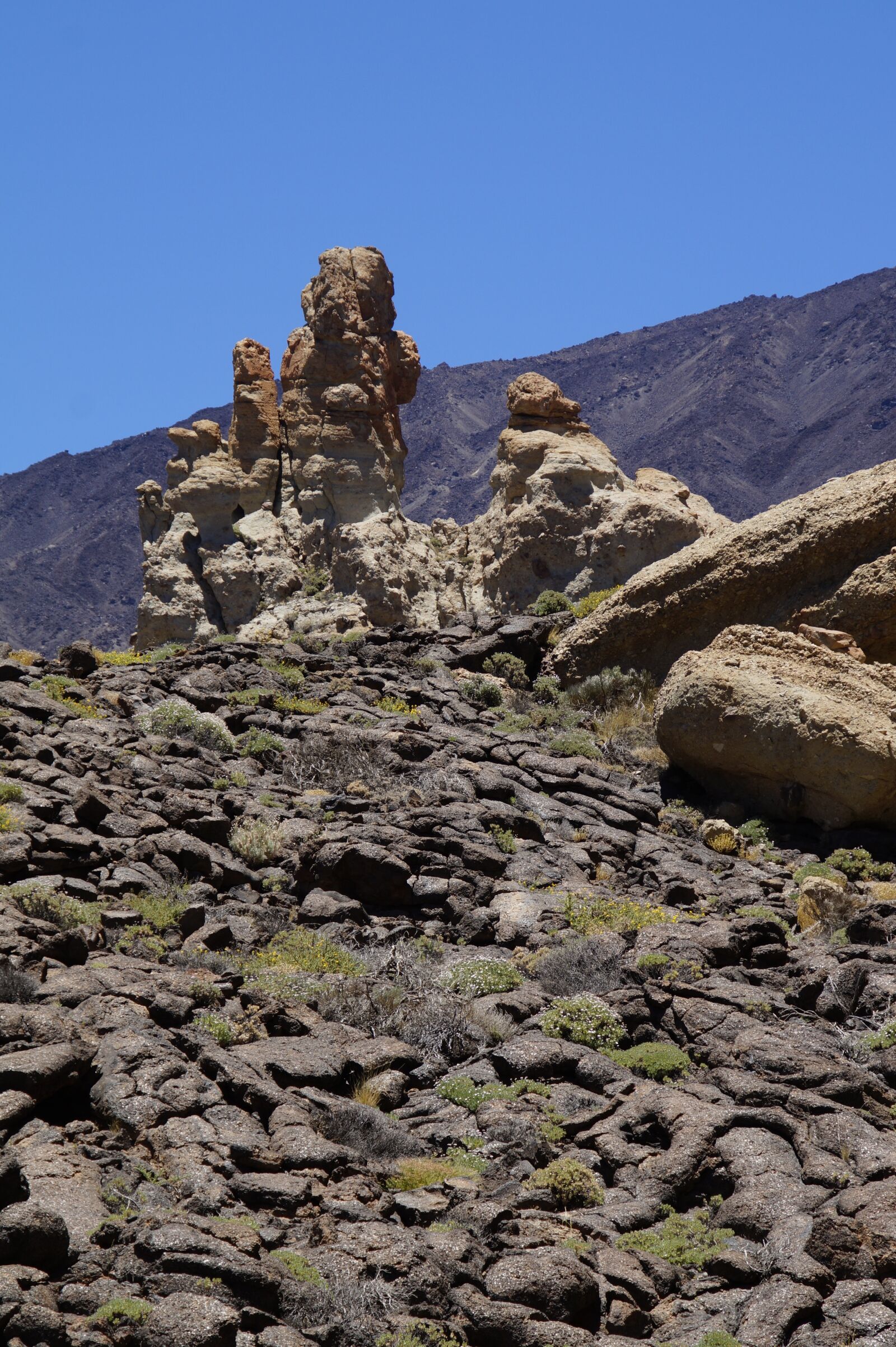Sony SLT-A58 sample photo. Teide national park, national photography