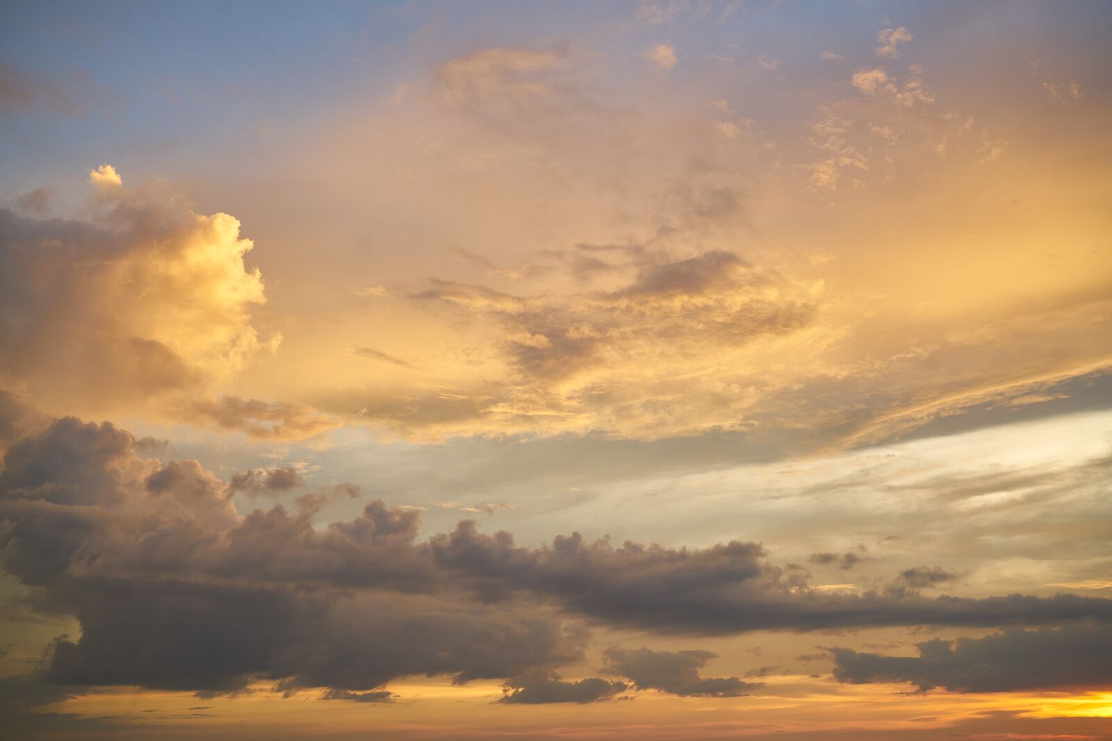 Sony a7R II sample photo. Yellow, clouds, white photography