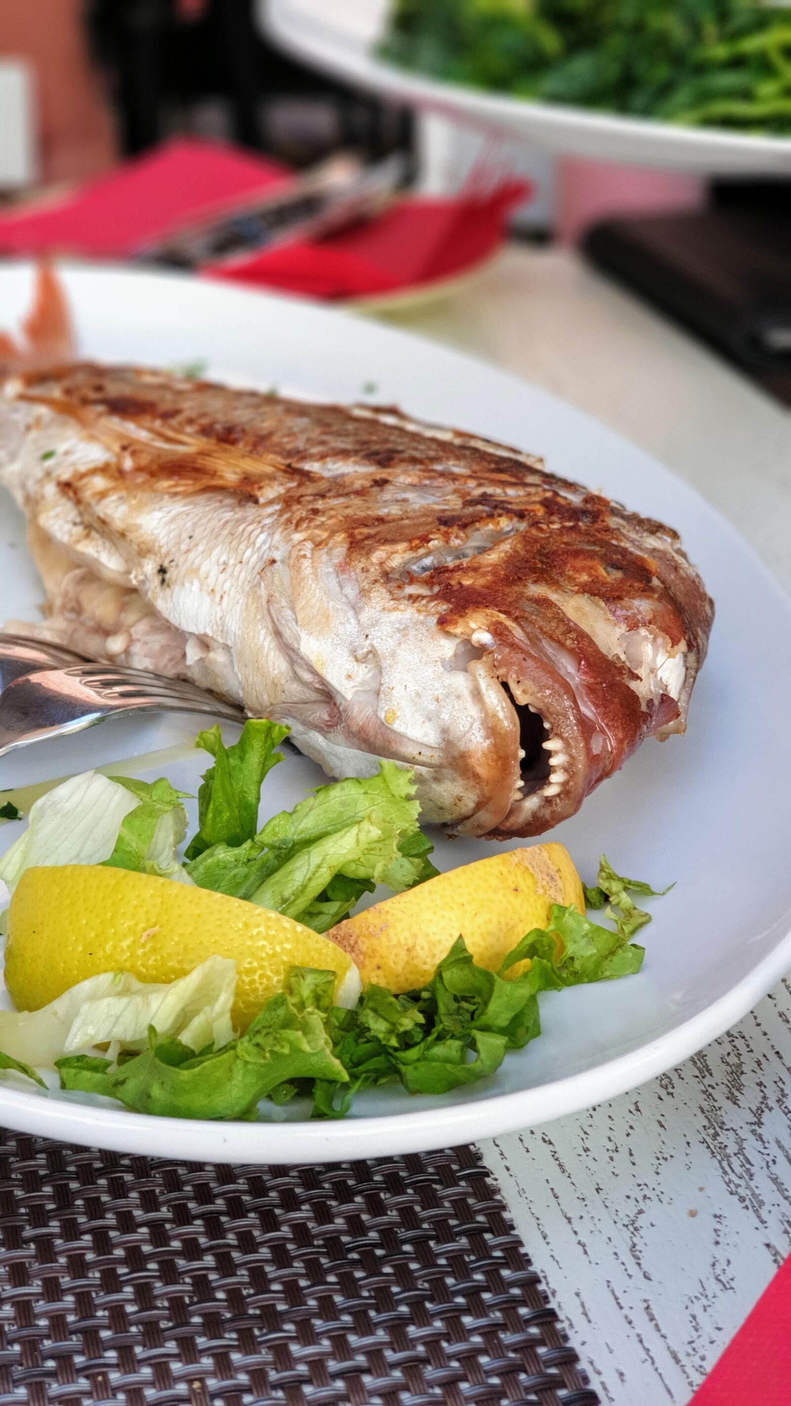 Samsung Galaxy S9+ sample photo. Fish, meal, mat photography