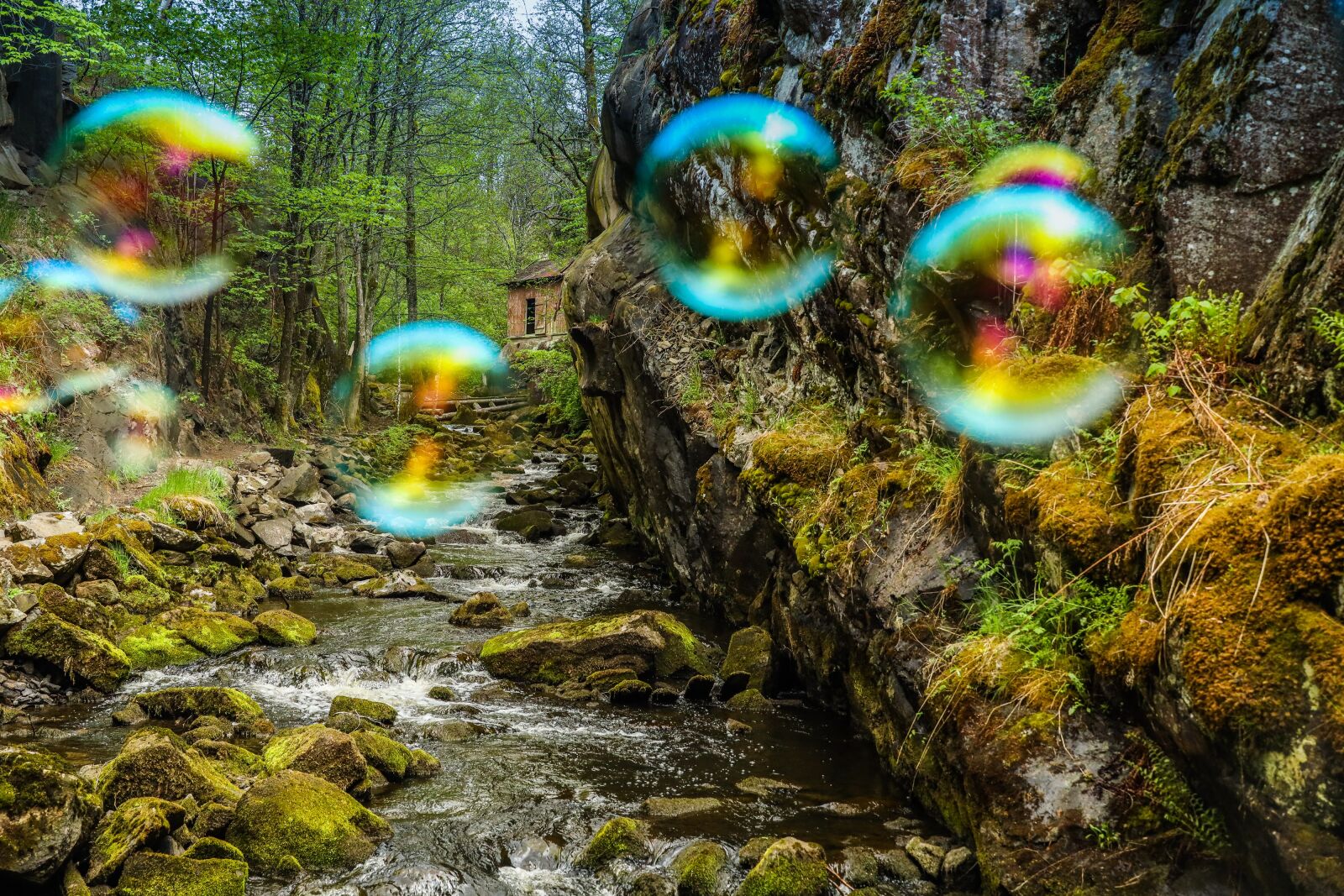 Canon EOS R sample photo. Soap bubbles, magic, river photography