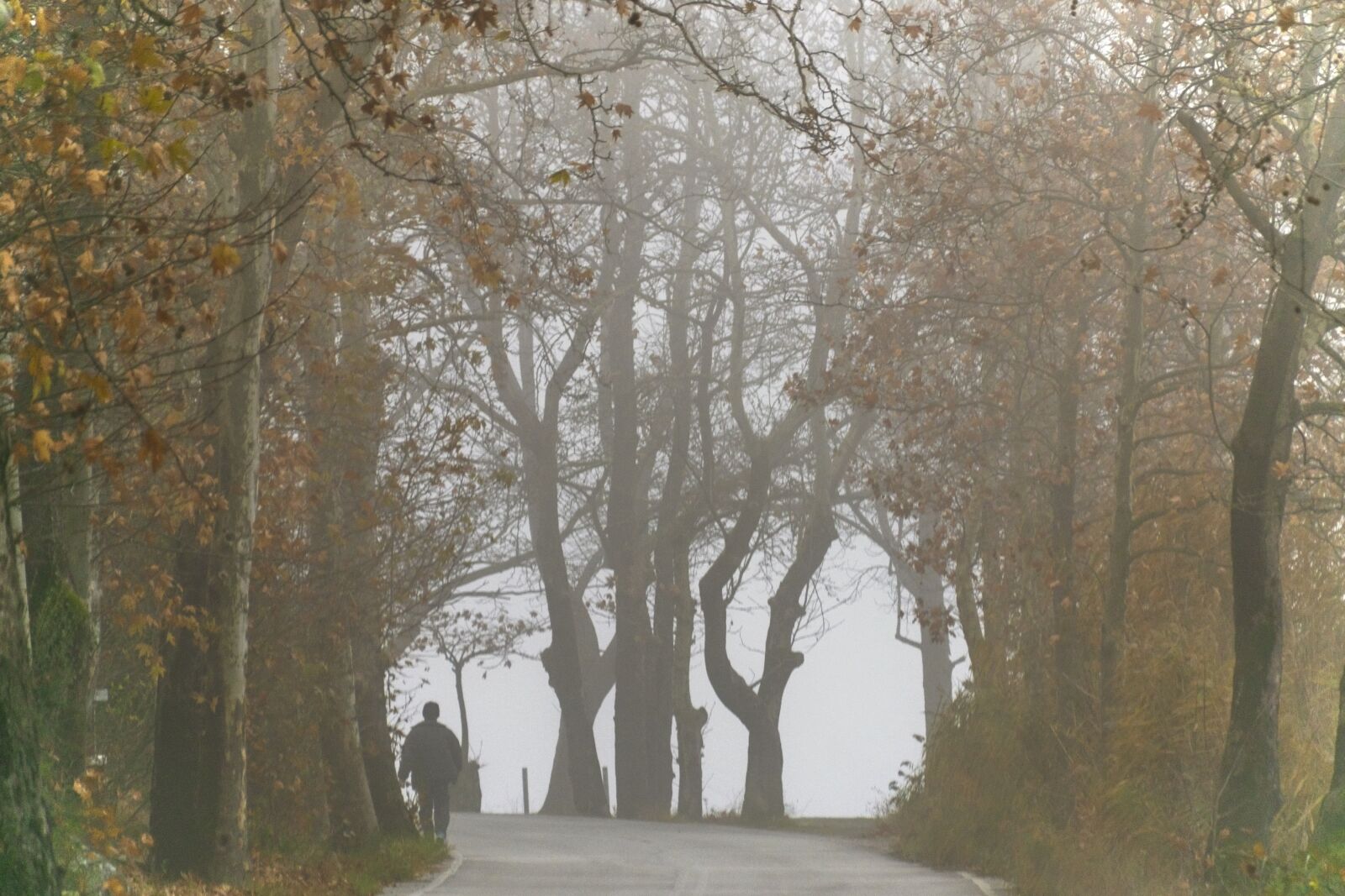 Nikon D5300 sample photo. Autumn, fall, lake photography