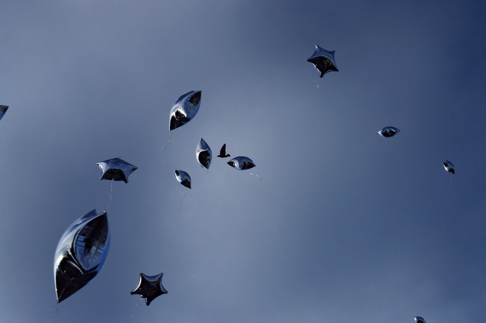 Nikon D3200 sample photo. Sky, outdoors, flight photography