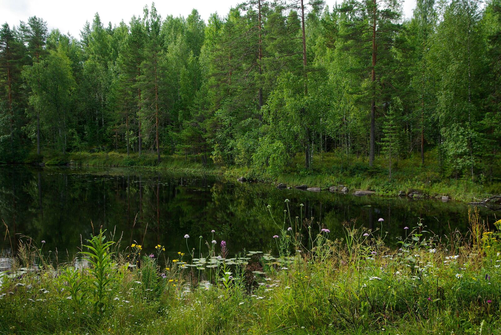 Pentax K10D sample photo. Finland, lake, forest photography