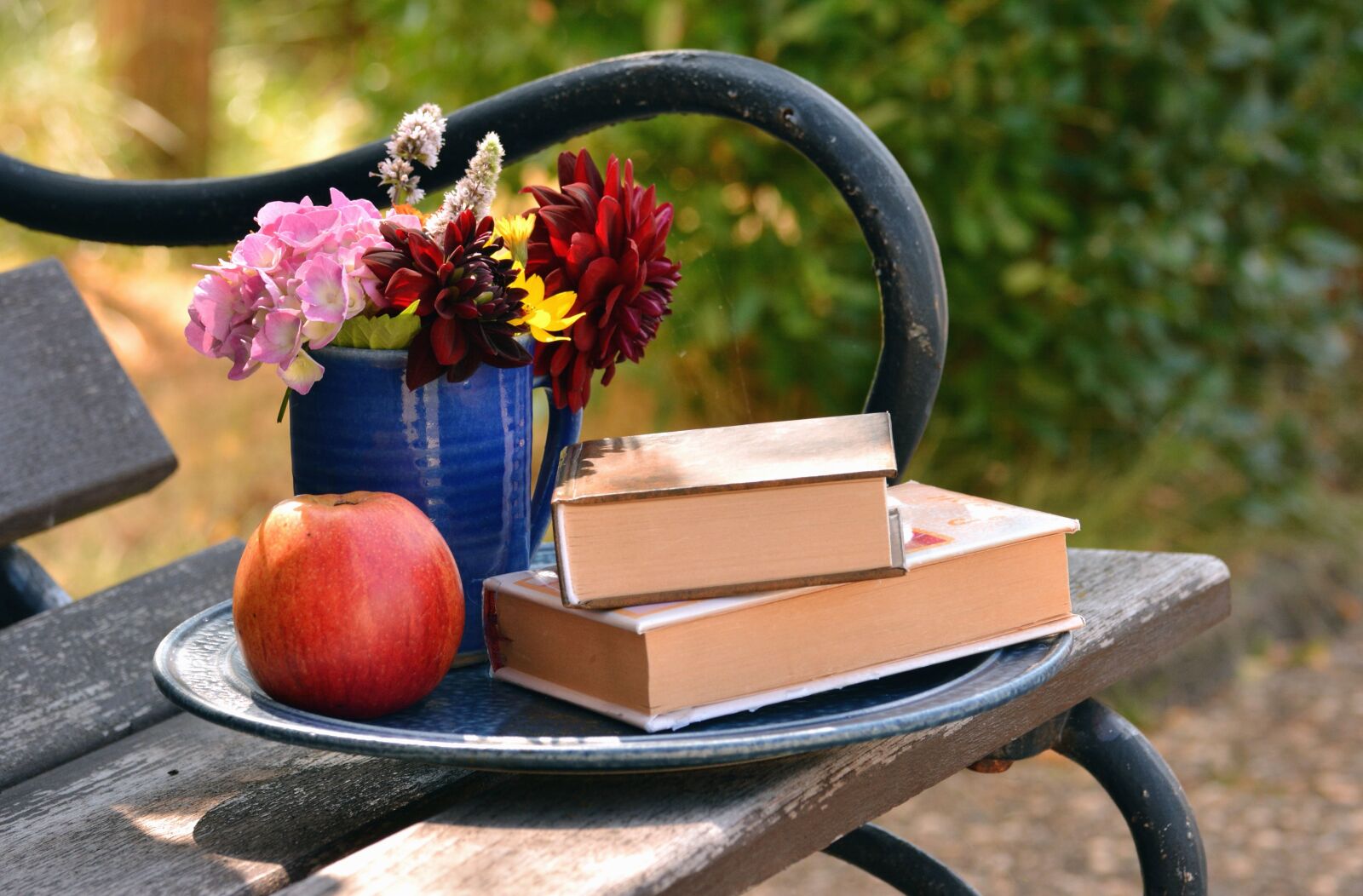 Nikon D5200 sample photo. Bench, apple, book, flower photography