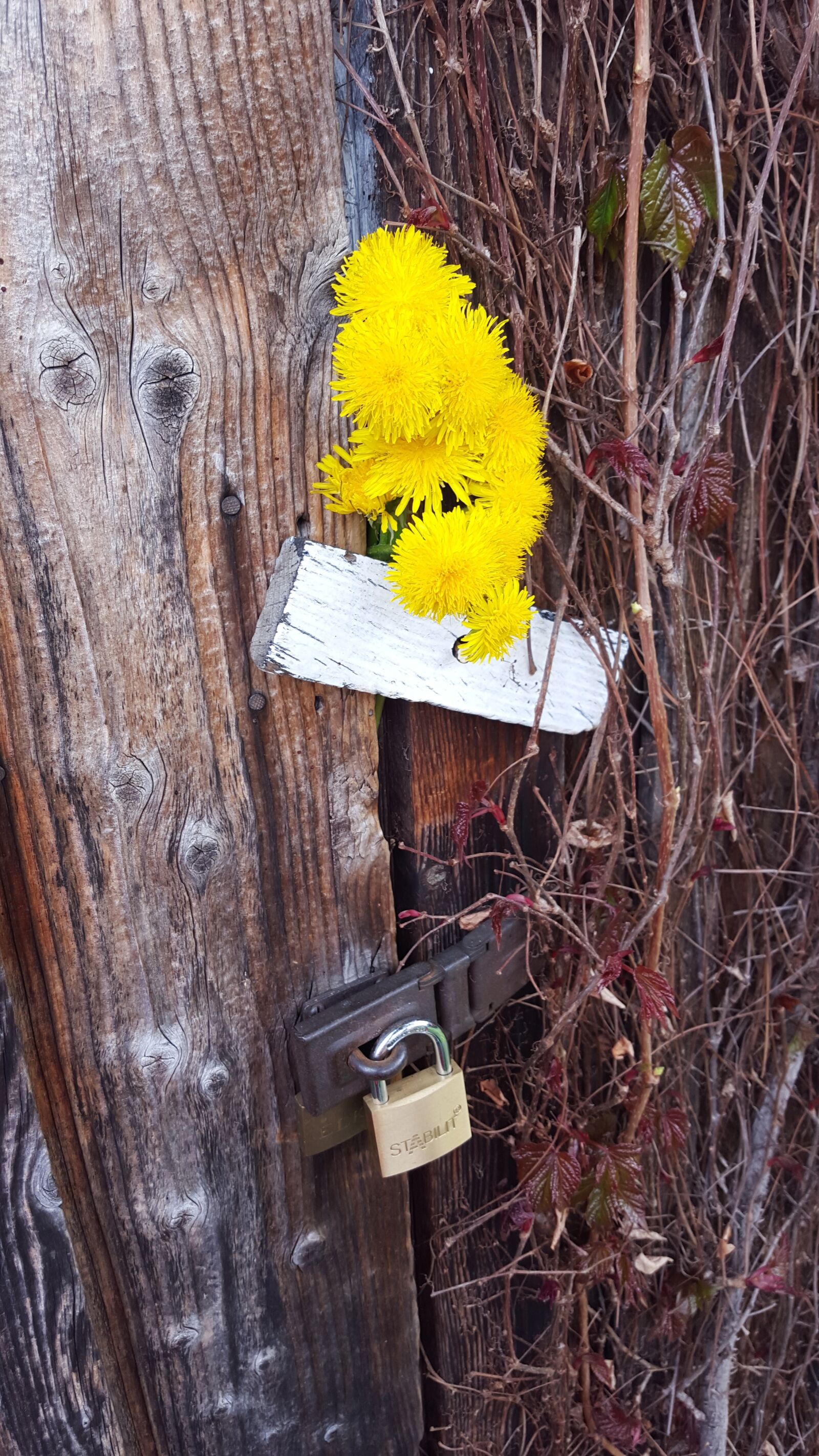 Samsung Galaxy S6 sample photo. Hut, closed, scale photography