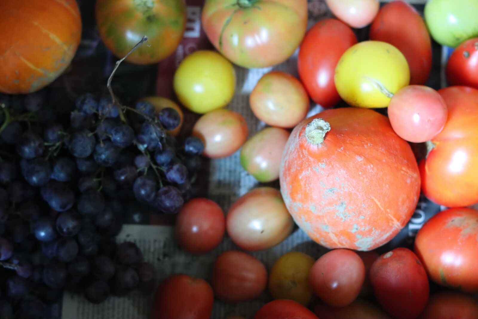 Canon EOS 90D sample photo. Vegetables, fruit, power photography